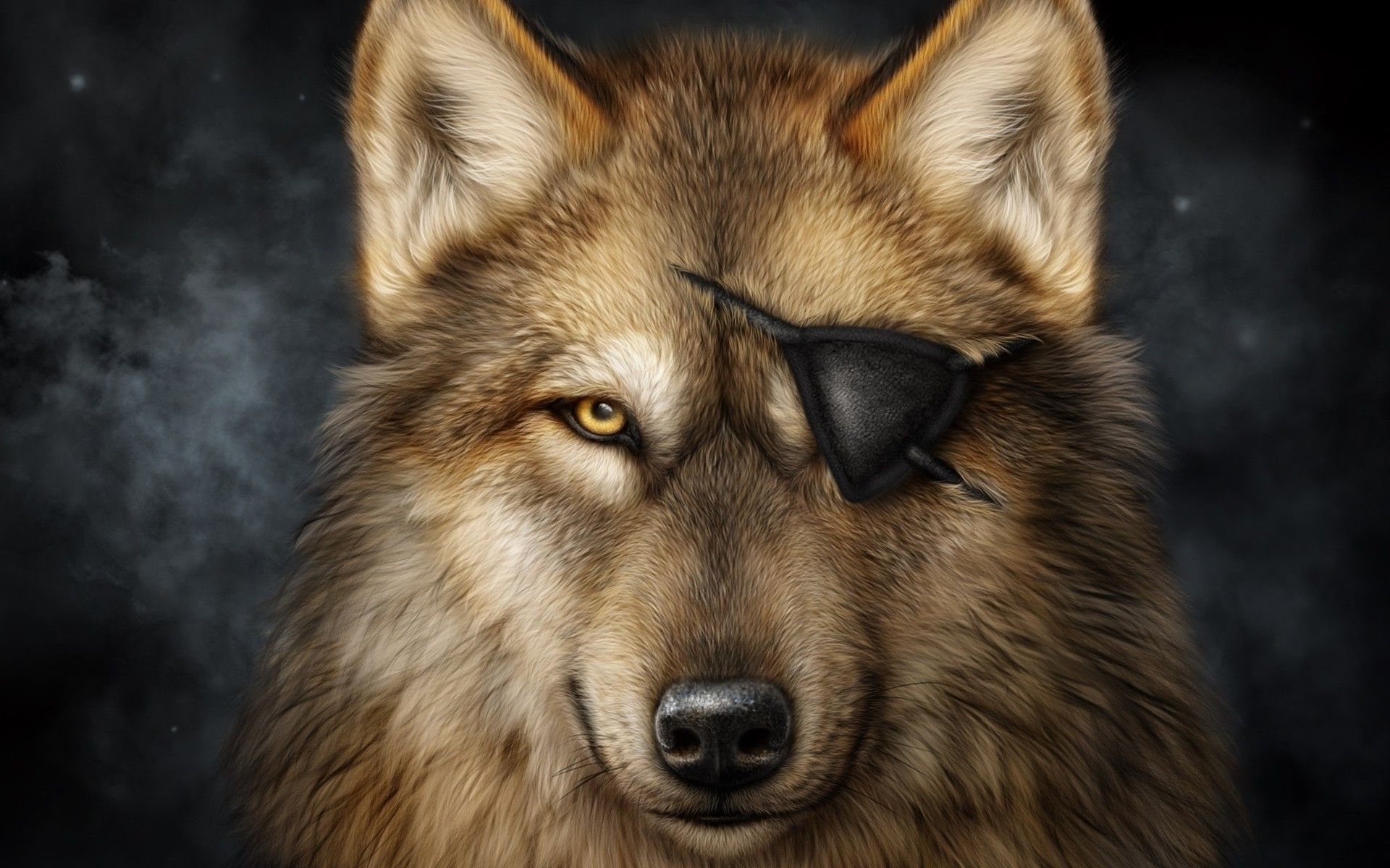 Lupo con benda sull'occhio, 1920x1200 WUXGA, Laptop