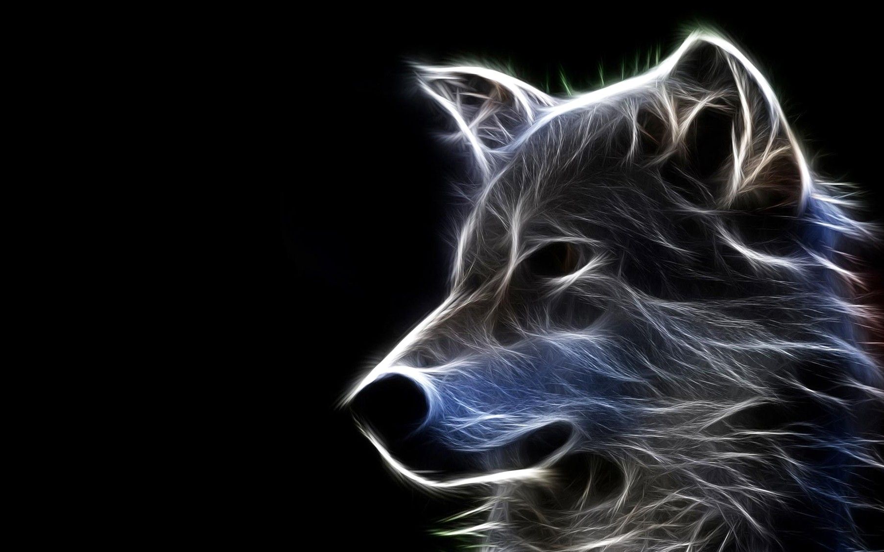 Lupo astratto luminoso sfondo nero, 1805x1128 HD Ready, PC Desktop