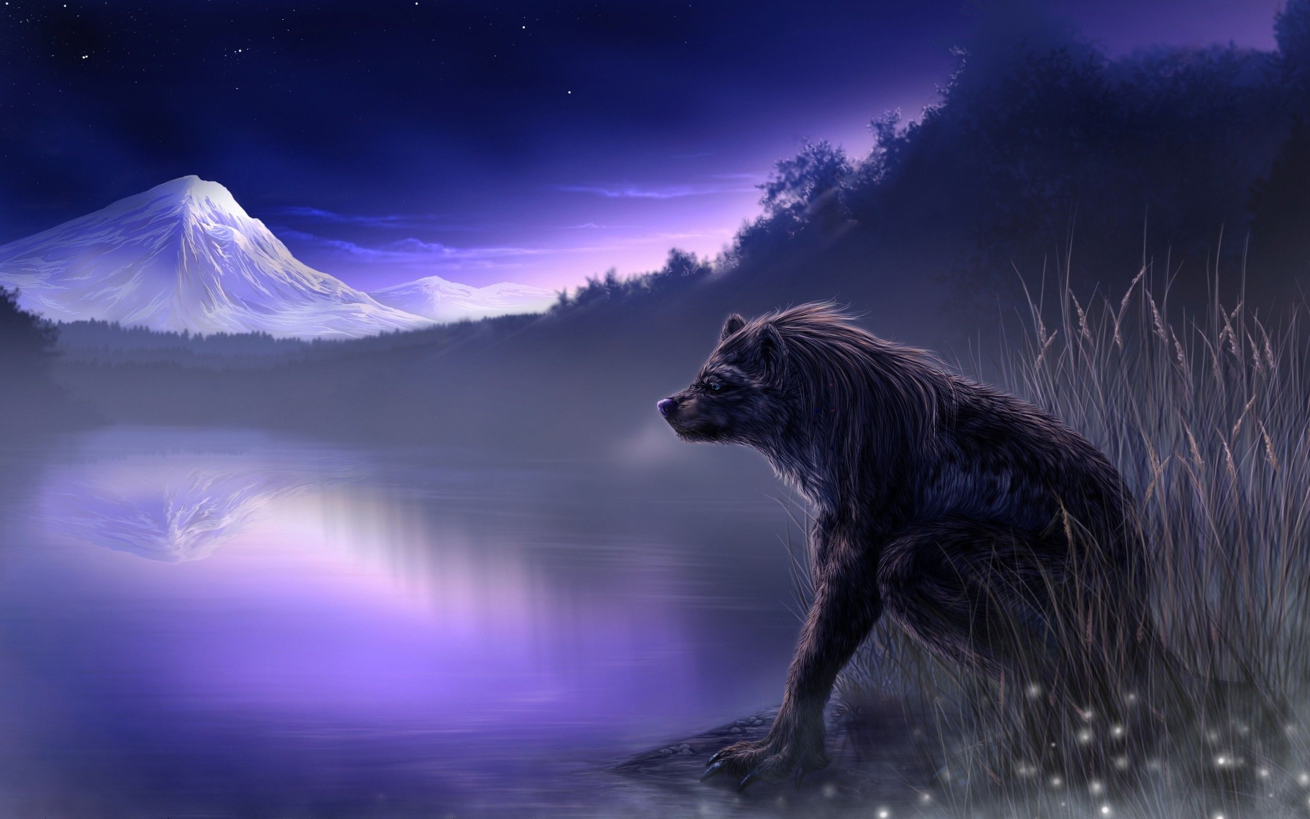 Lupo notturno lago montagna, 2560x1600 2K, Desktop