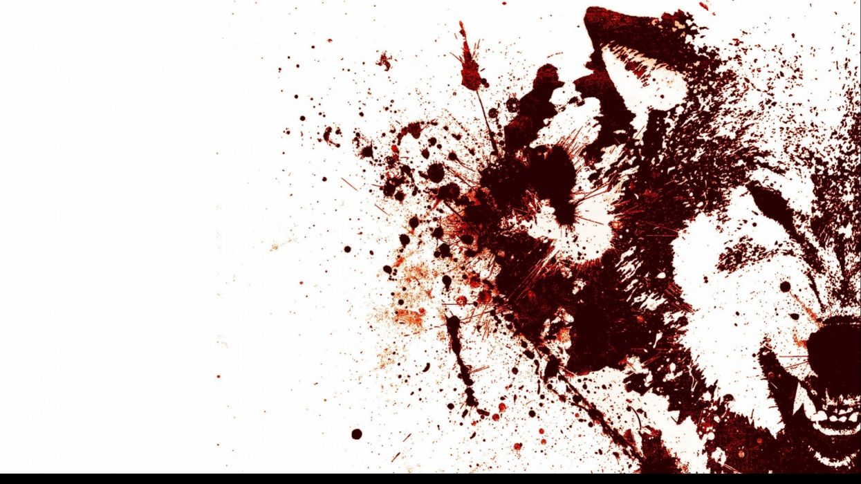 Lupo dipinto a macchie rosse, 1245x700 HD, Laptop