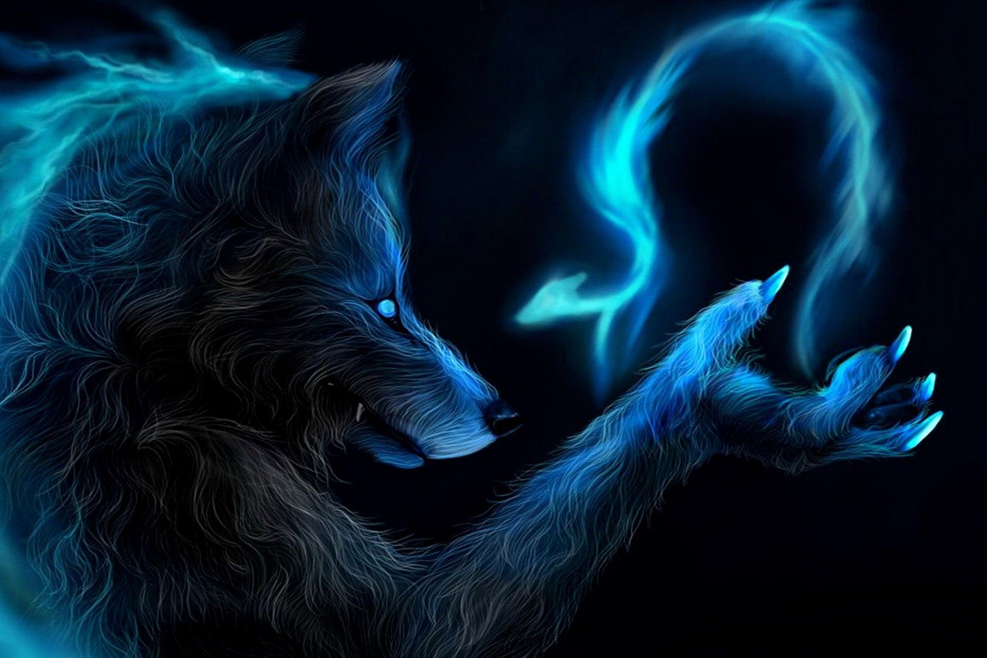 Lupo artistico luce blu, 2000x1333 Hi-Res, PC
