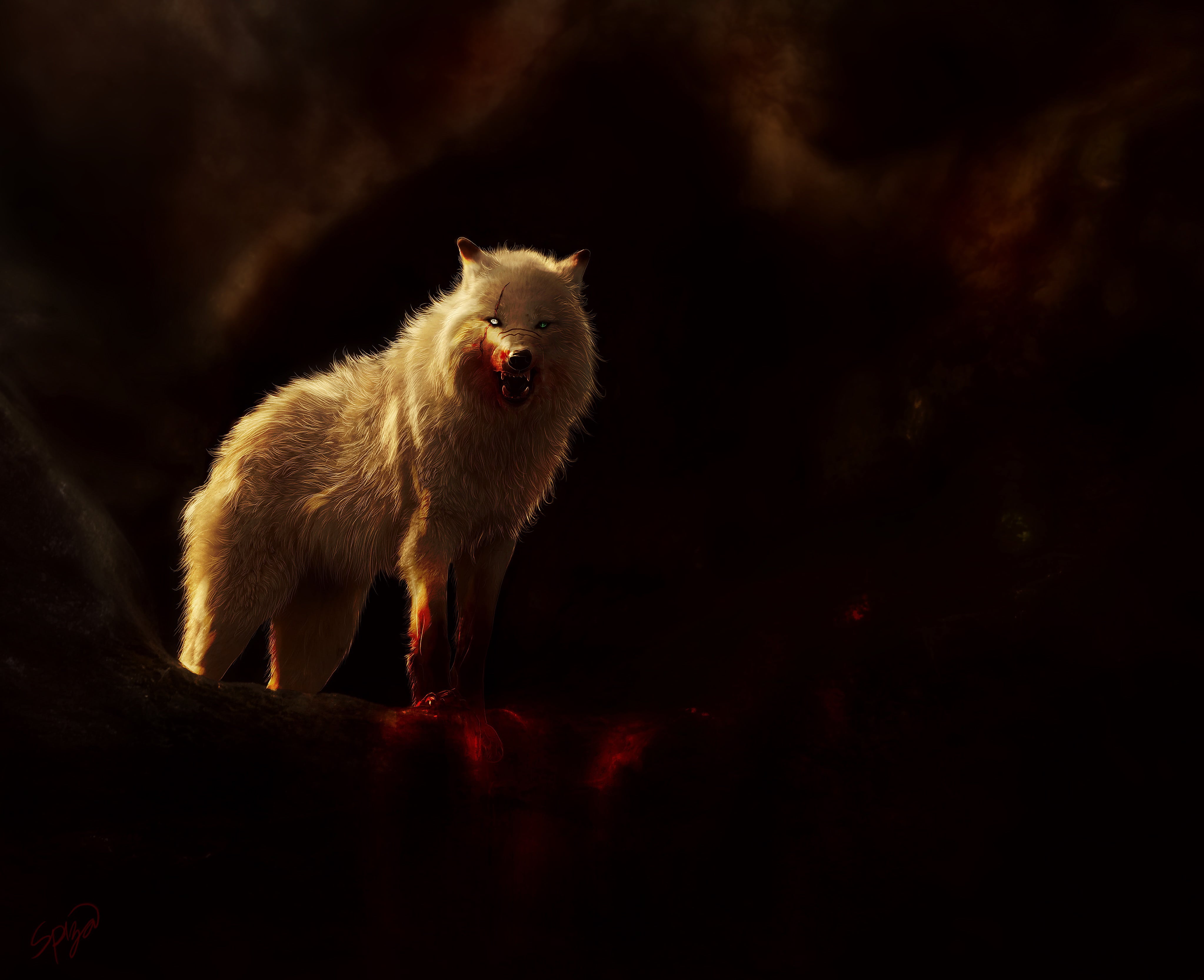 Lupo bianco artico ringhiante, 4093x3333 4K, Desktop 4K