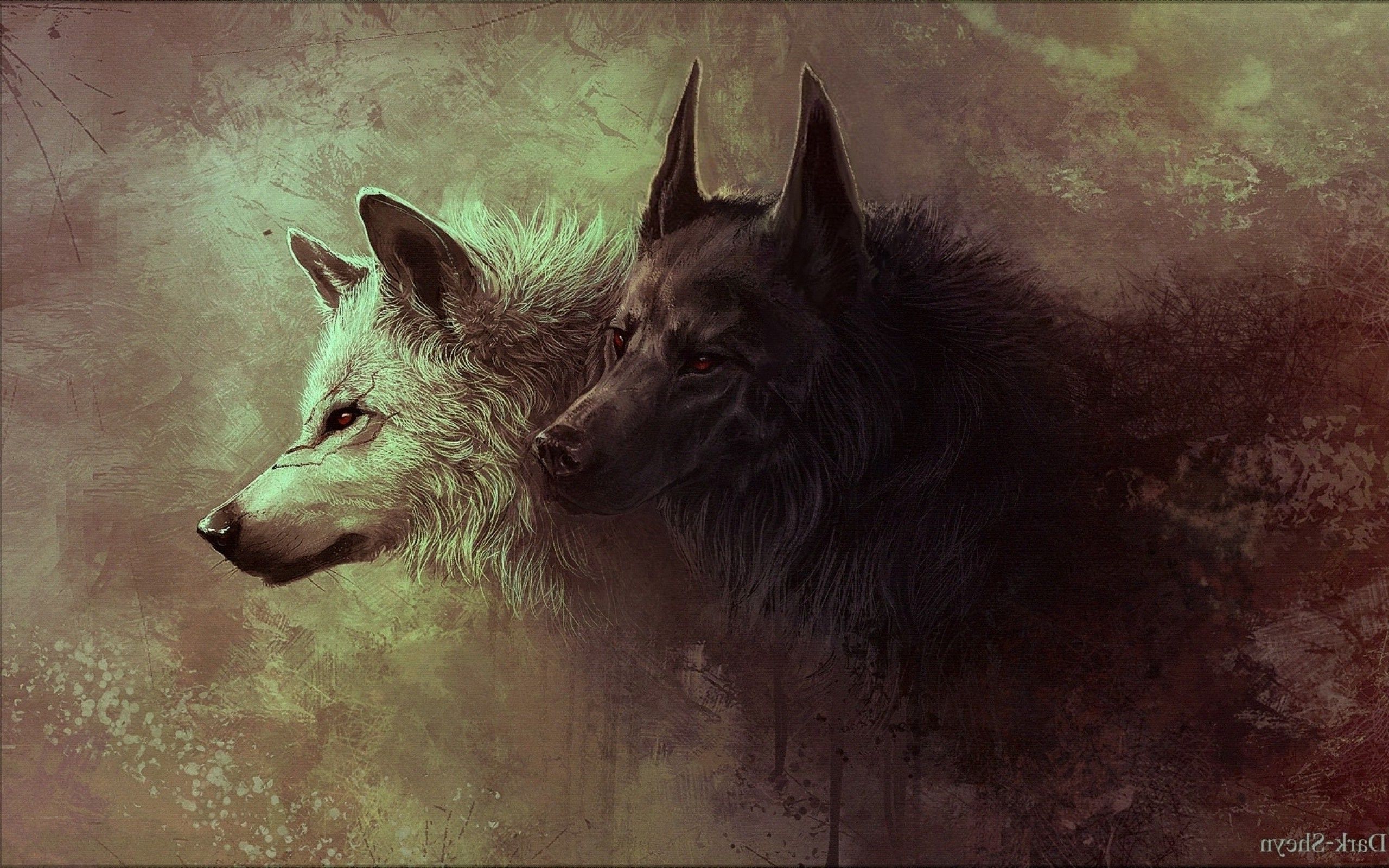 Due lupi bianco e nero artistici, 2560x1600 2K, Laptop
