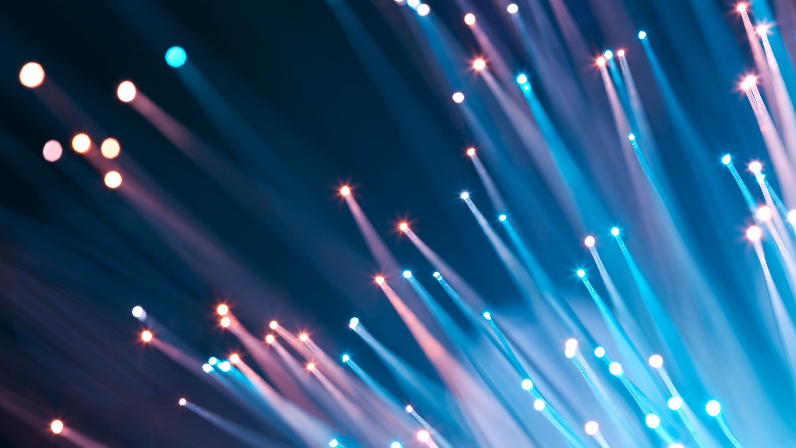 Fibre ottiche luminose blu rosa, 2560x1440 2K, Desktop