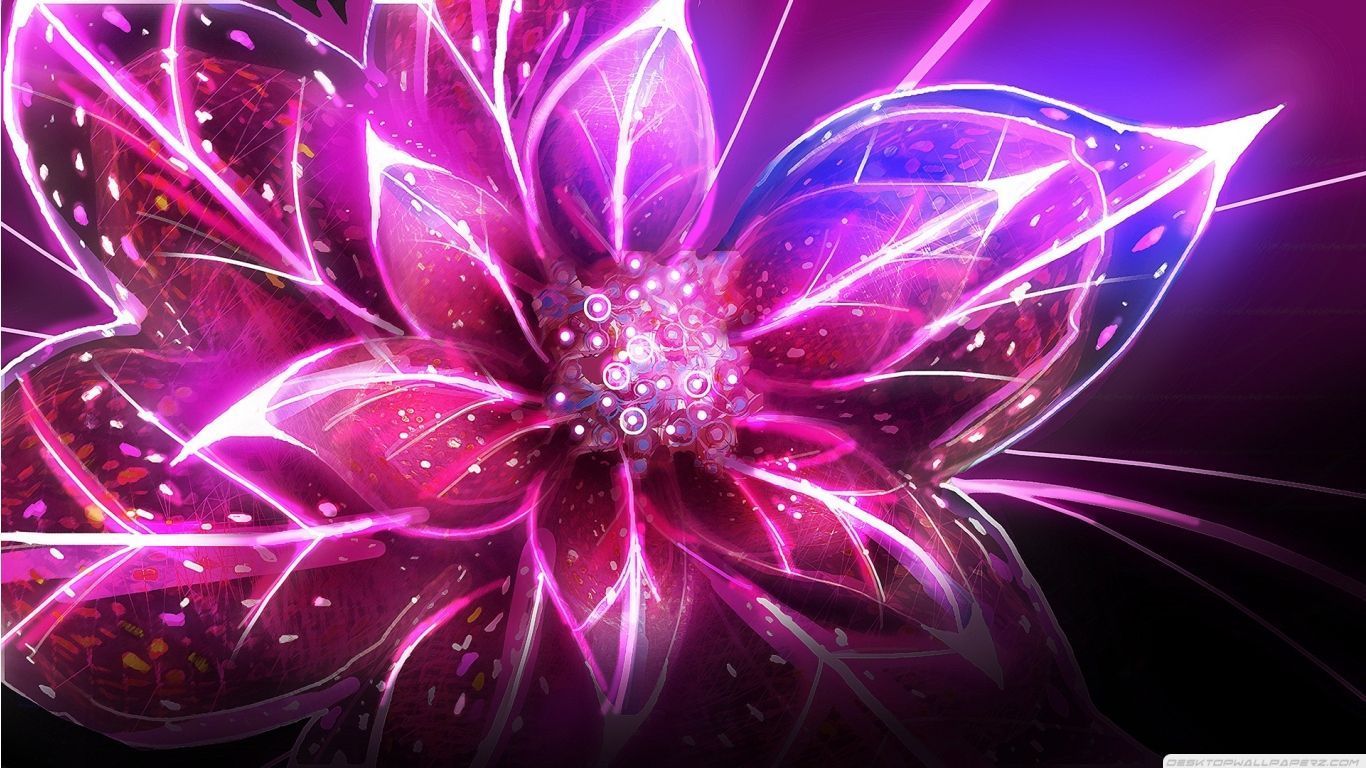 Fiore astratto rosa fucsia, 1366x768 720p, Laptop