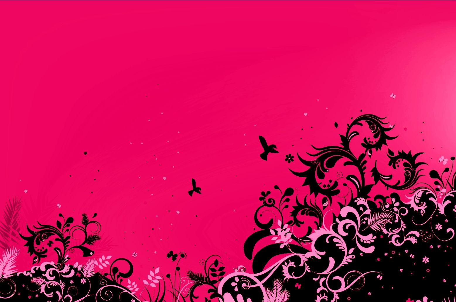 Motivi floreali neri su rosa, 1557x1034 720p, Acer Nitro