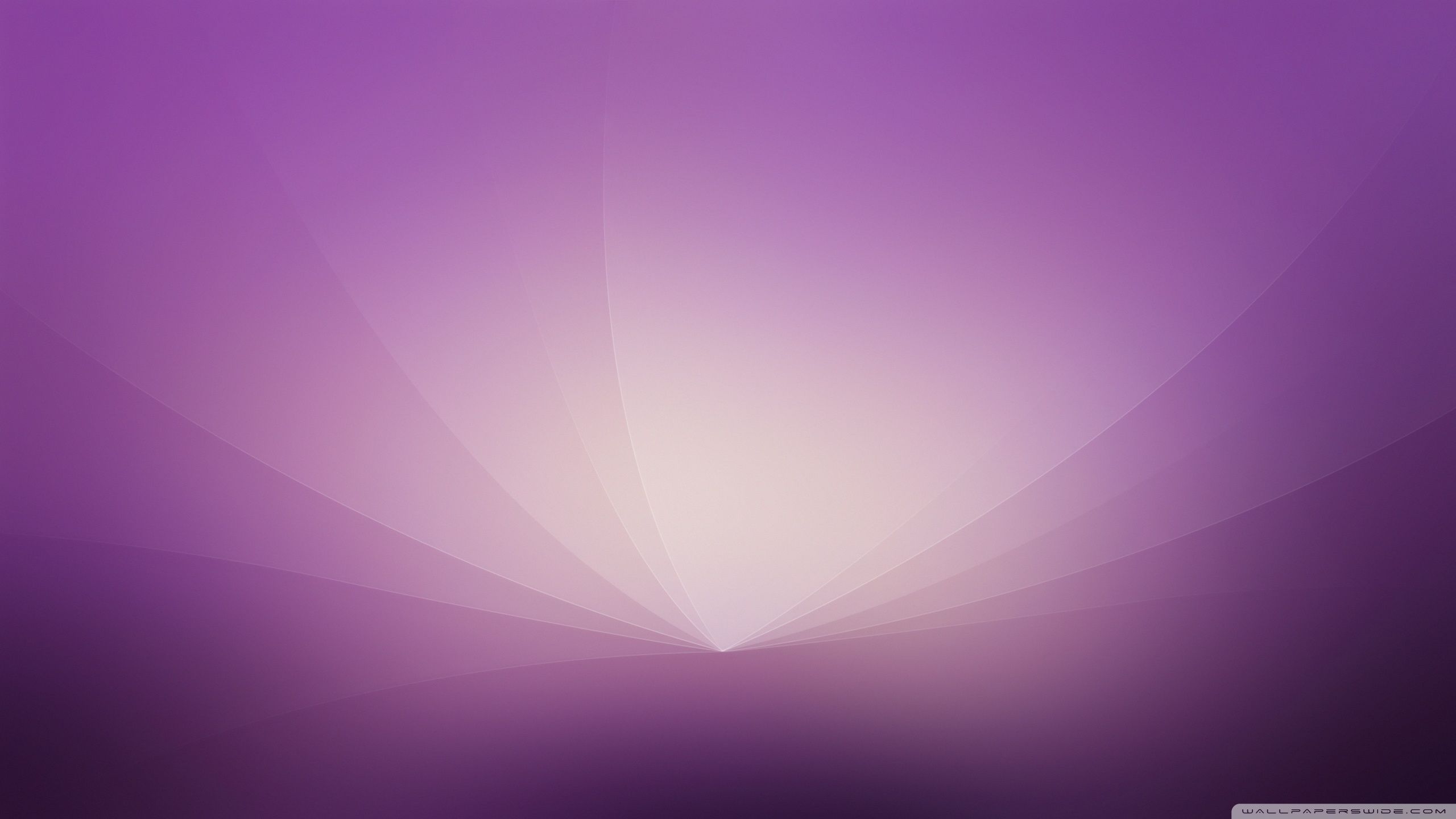 Sfumatura astratta viola chiaro, 2560x1440 1440p, Desktop