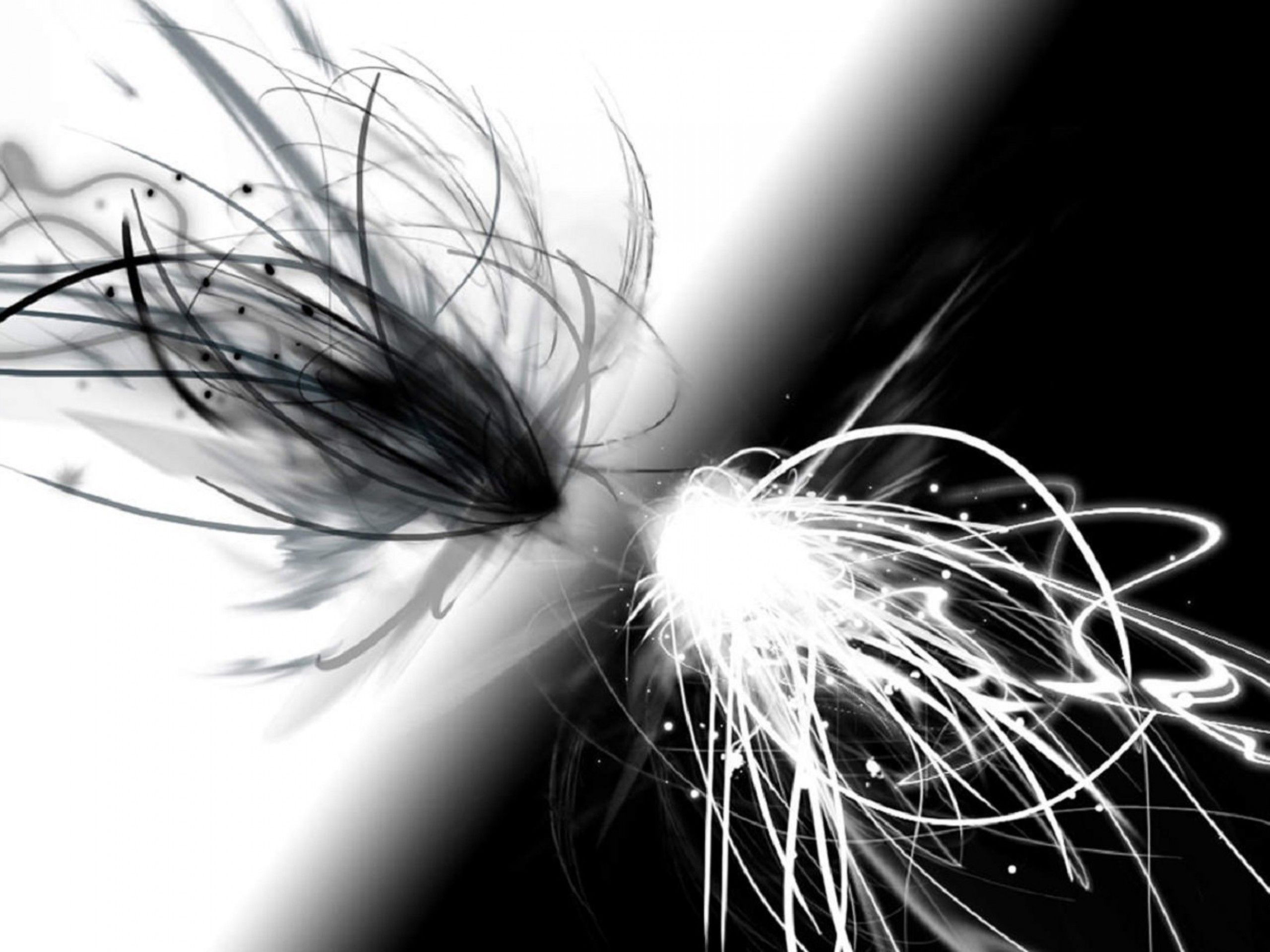 Linee astratte bianco e nero, 2560x1920 2K+, Laptop