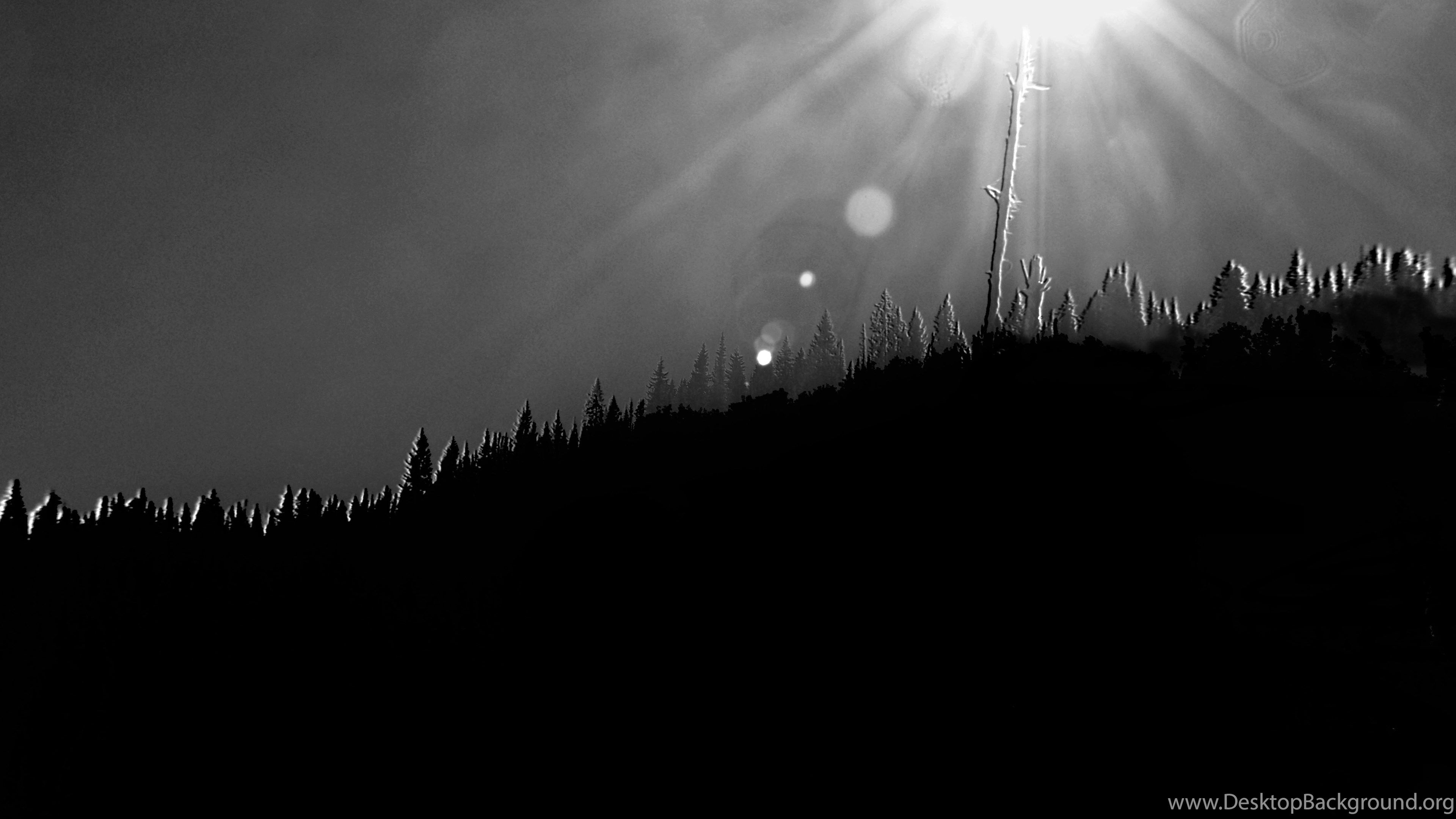 Sole raggiante su foresta bianco-nero, 3840x2160 4K, Desktop 4K