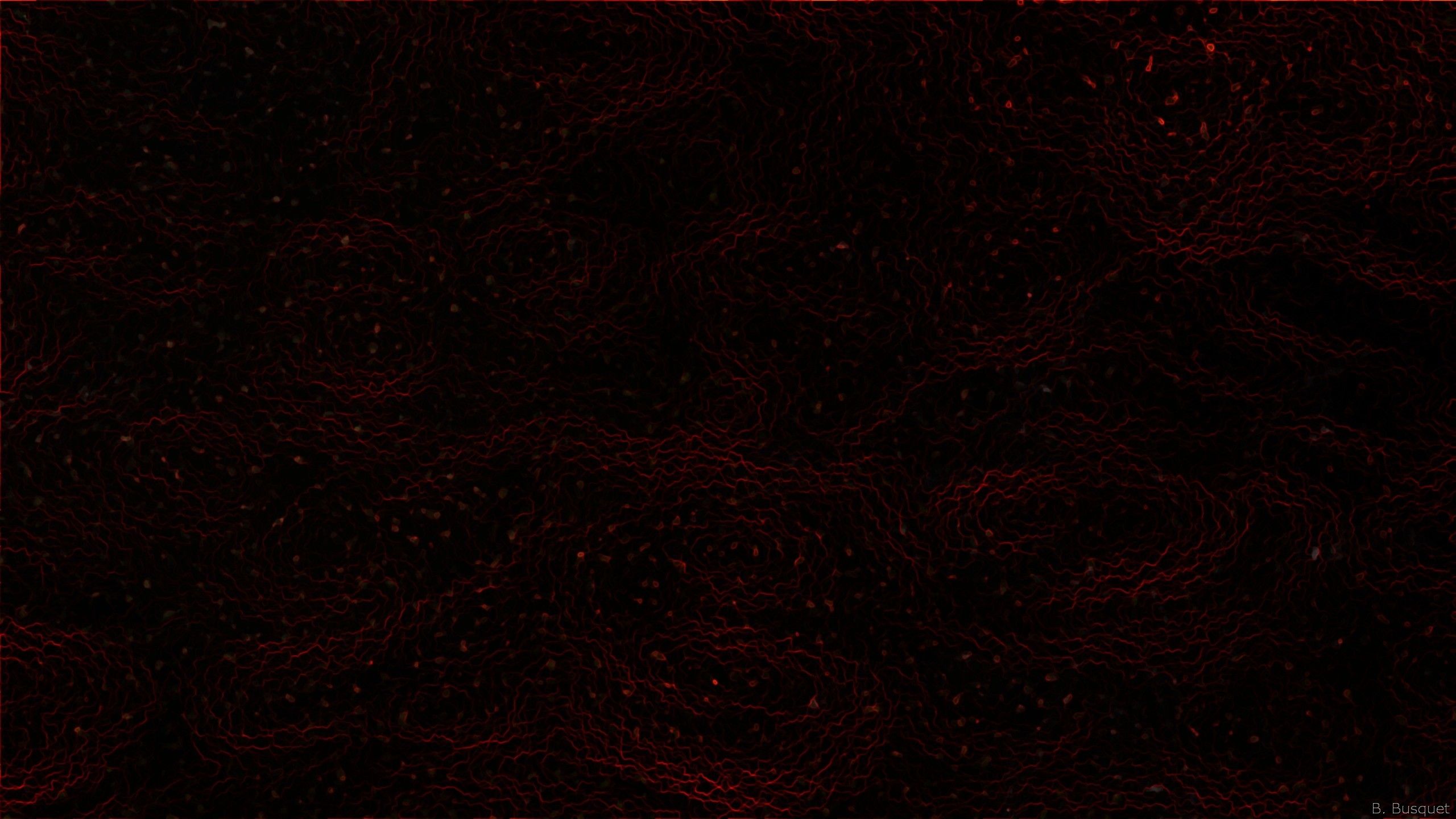 Astratto scuro rosso texture, 2560x1440 1440p, Desktop