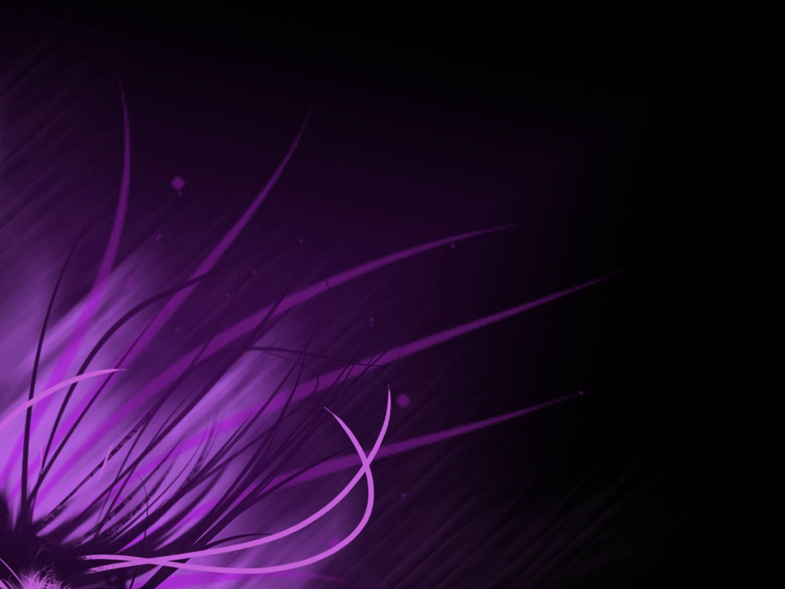 Filamenti astratti viola su nero, 1600x1200 HD Ready, Desktop