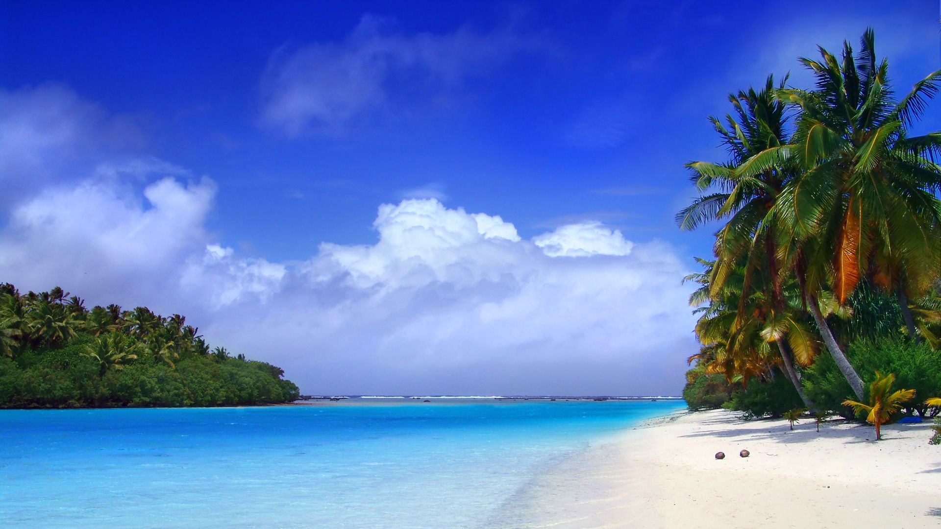 Spiaggia tropicale con palme, 1920x1080 Full HD, Desktop