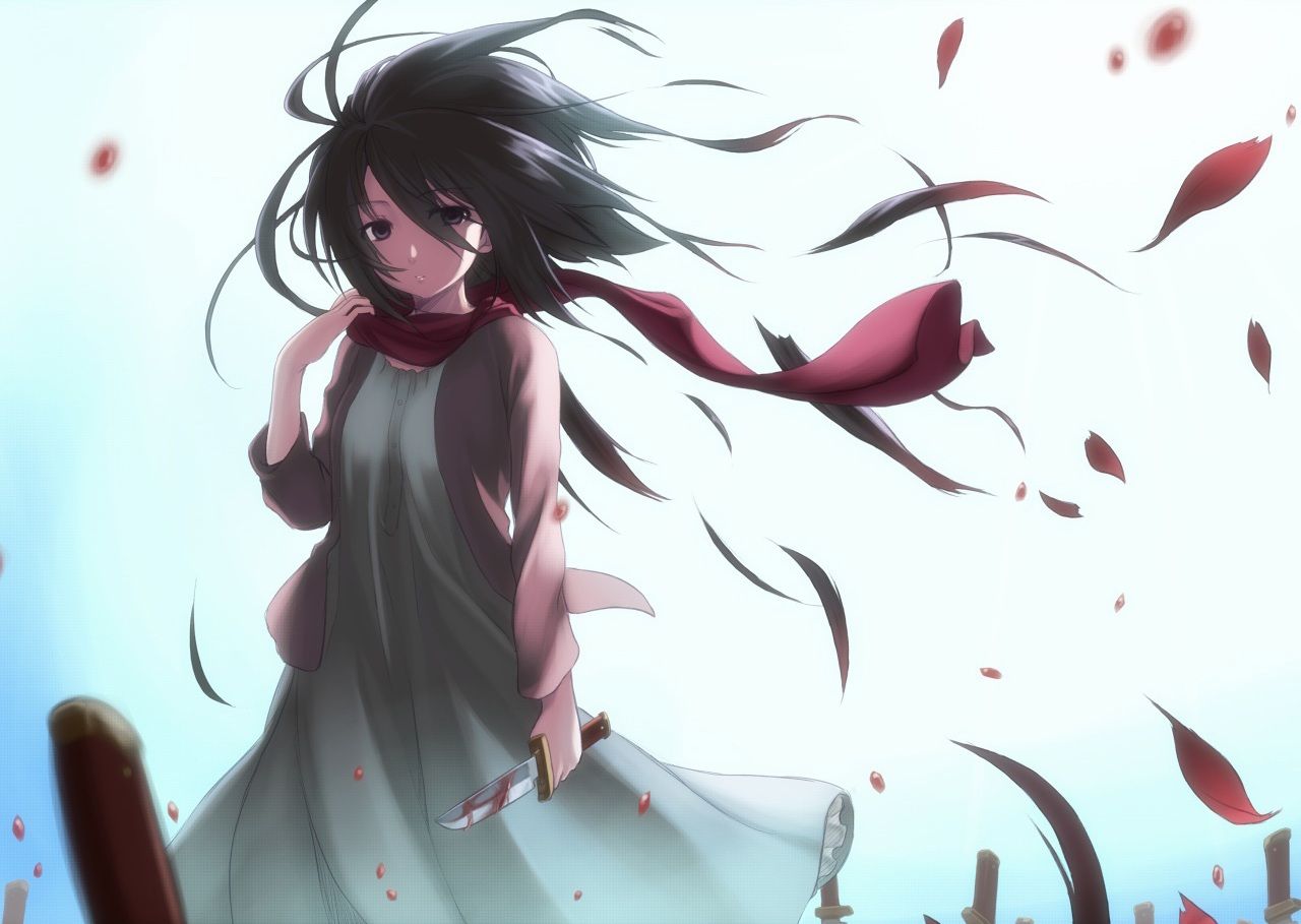 Mikasa Ackerman capelli lunghi, 1280x909 HD, Desktop