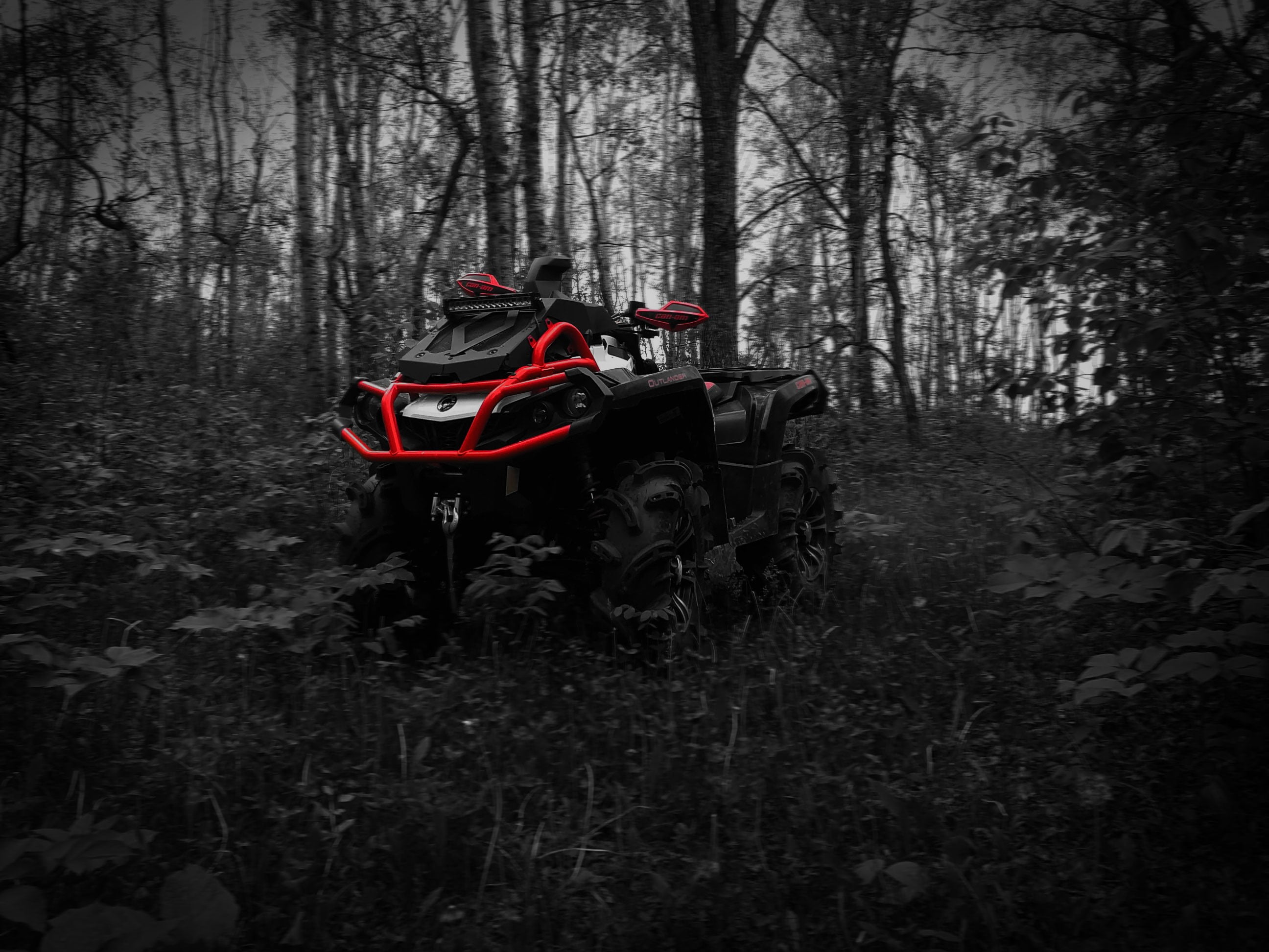 ATV quad rosso e nero nel bosco, 2592x1944 WQXGA, PC