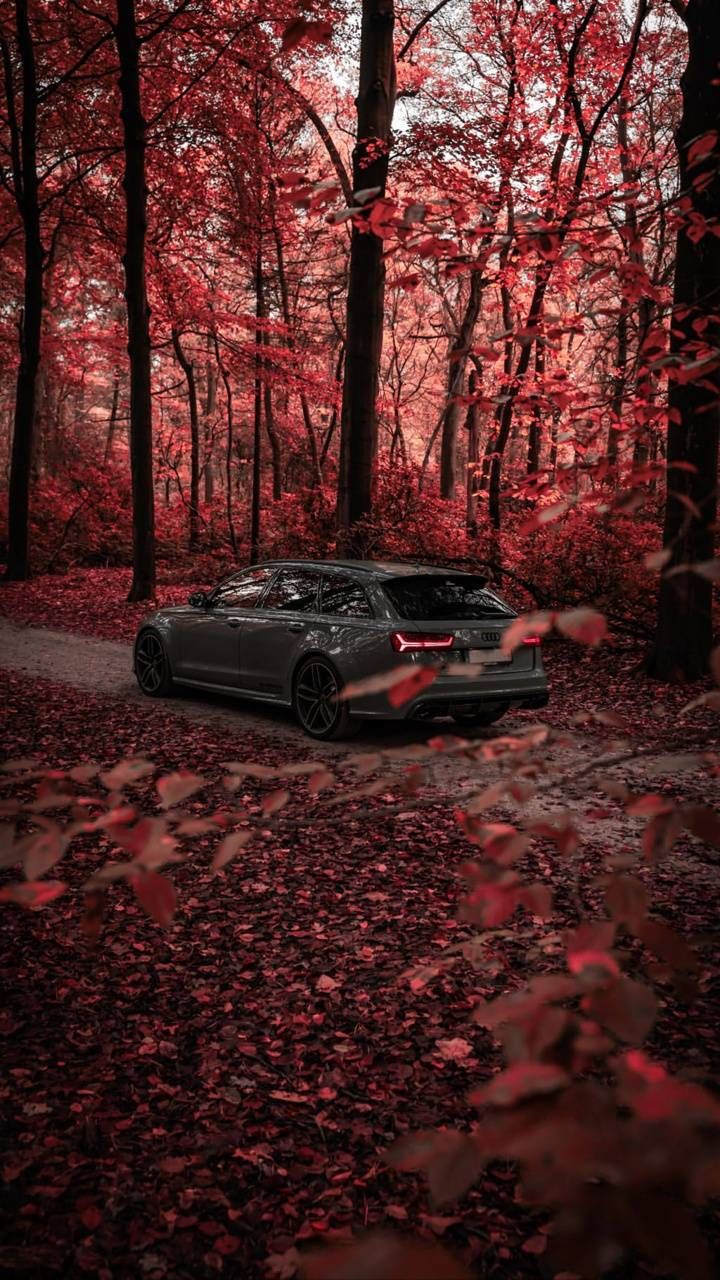 Audi RS6 nel bosco autunnale, sfondo 720x1280 Verticale, Mobile