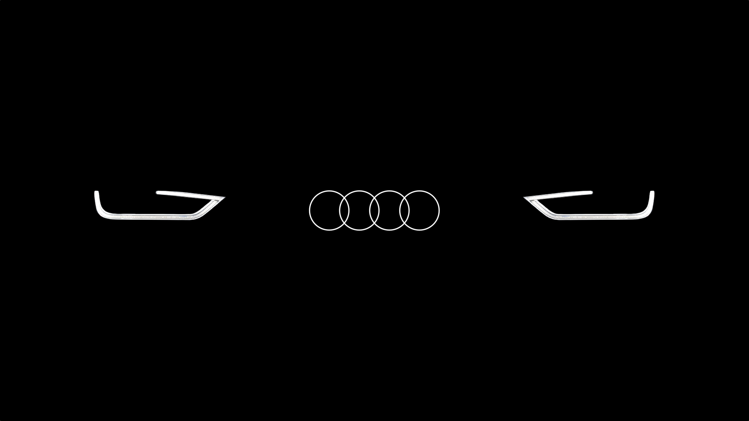 Contorno Audi anelli nero, 2560x1440 1440p, Monitor Gaming