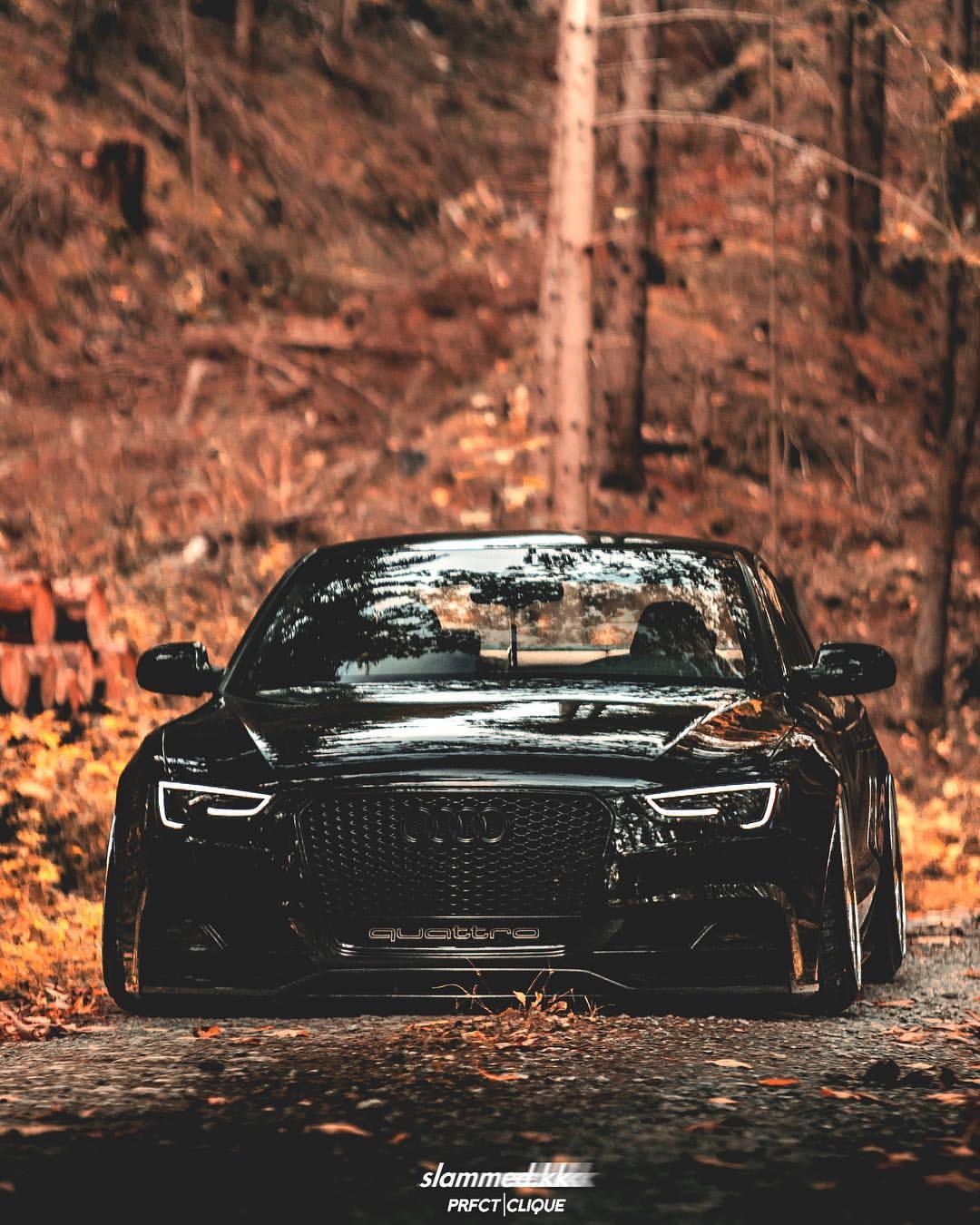 Audi RS5 nera bosco autunno, 1080x1350 Verticale, Android