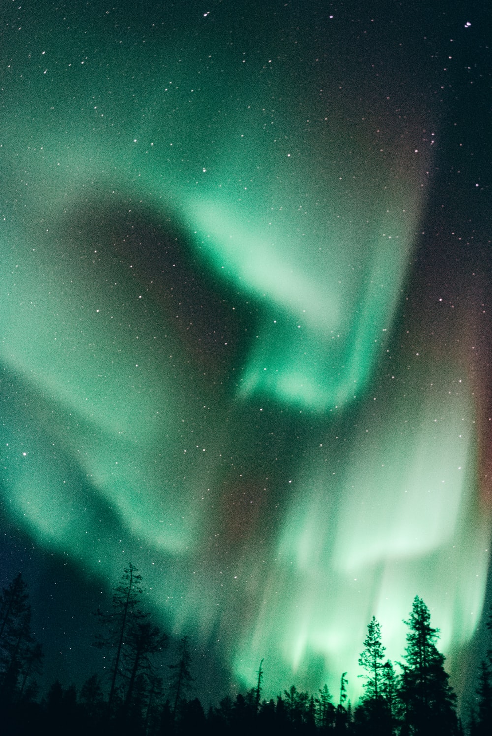 Aurora boreale verde notturna, 1000x1494 Verticale, Telefono