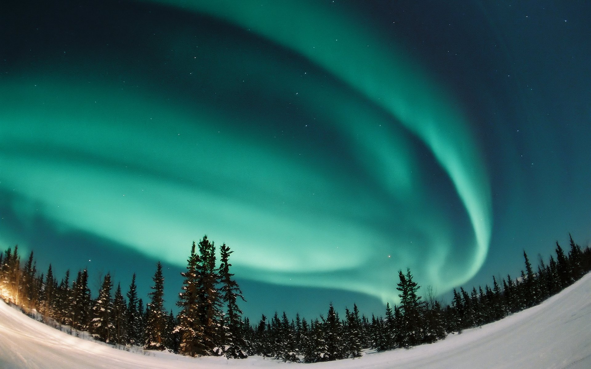 Aurora boreale sopra foresta innevata, 1920x1200 Full HD+ WUXGA, PC