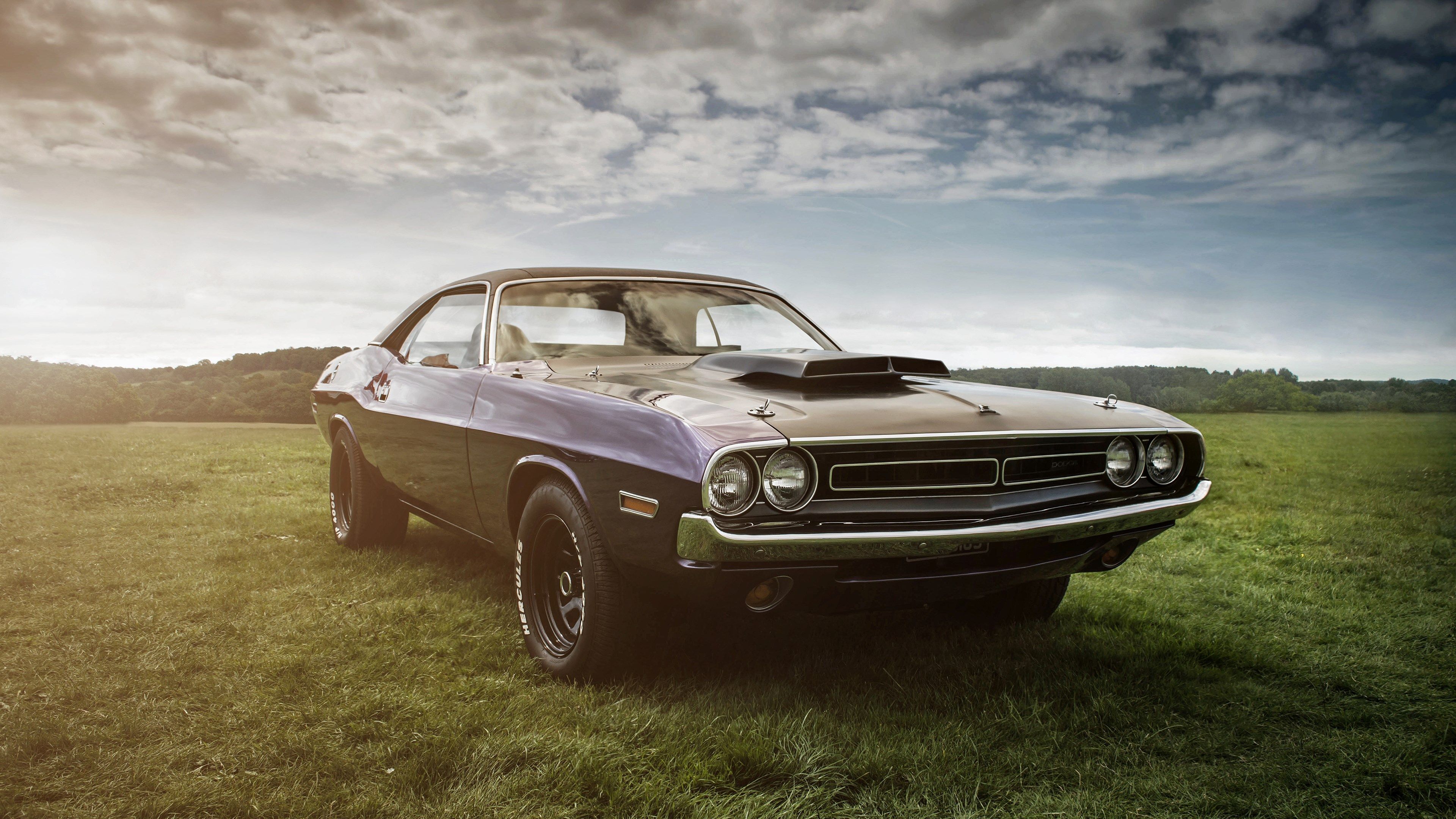 Dodge Challenger viola prato, muscle car, 3840x2160 UHD, PC 4K