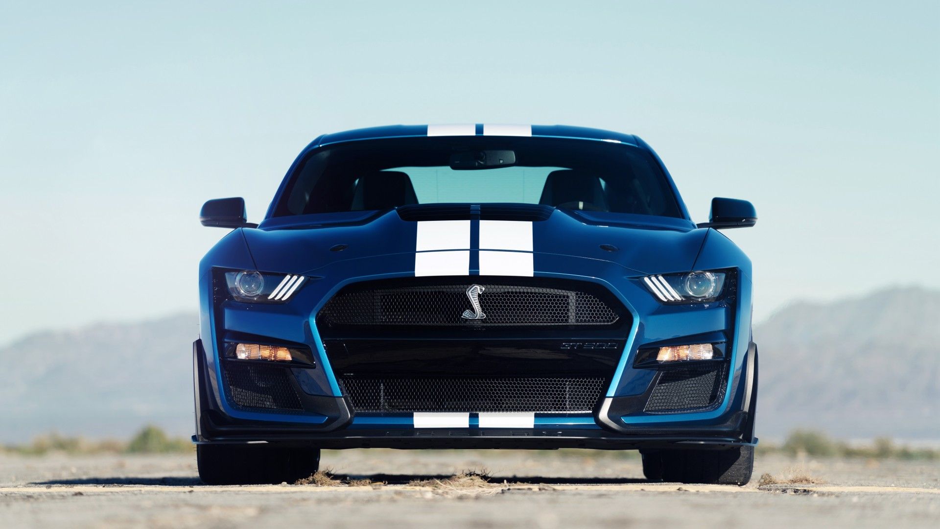 Ford Mustang Shelby GT500 blu, 1920x1080 Full HD 1080p, PC