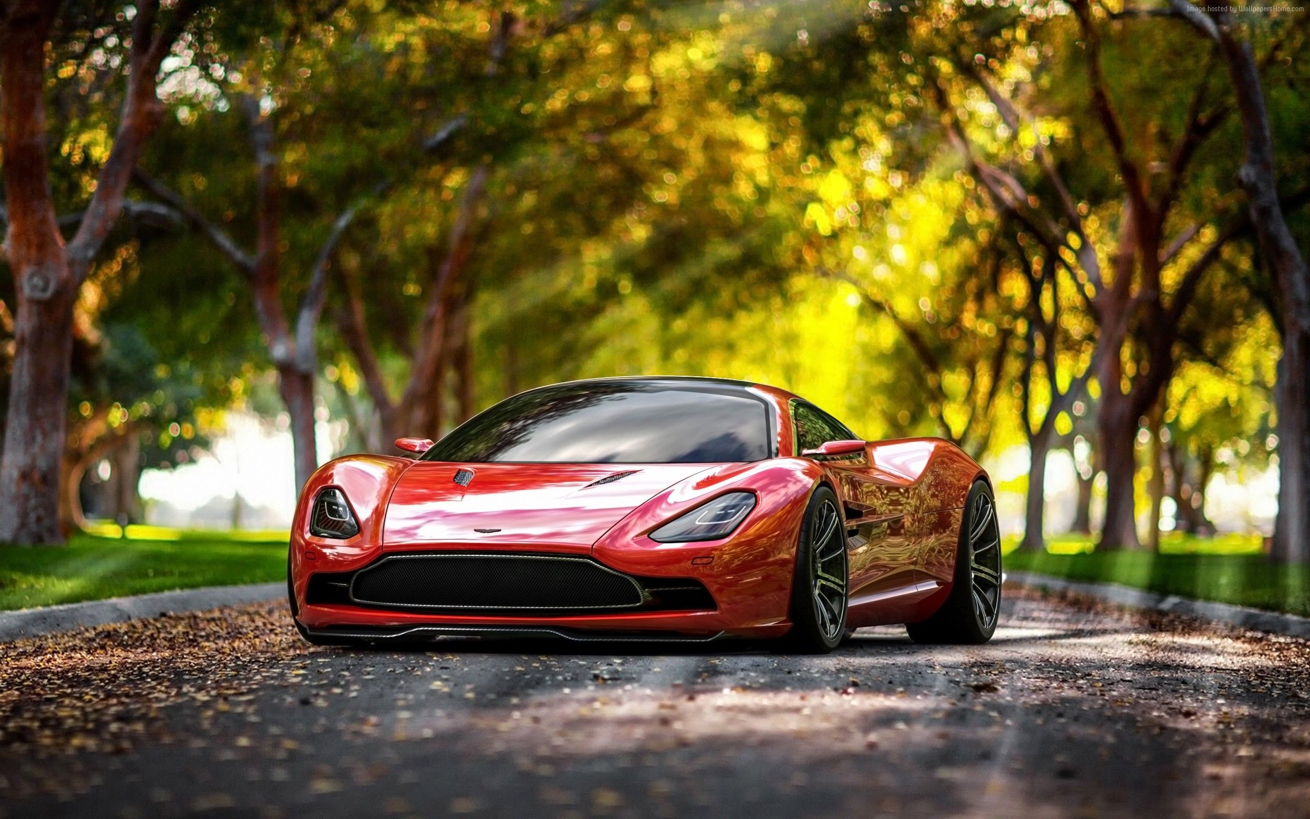 Aston Martin rossa tra alberi, 2560x1600 2K+, MacBook Pro