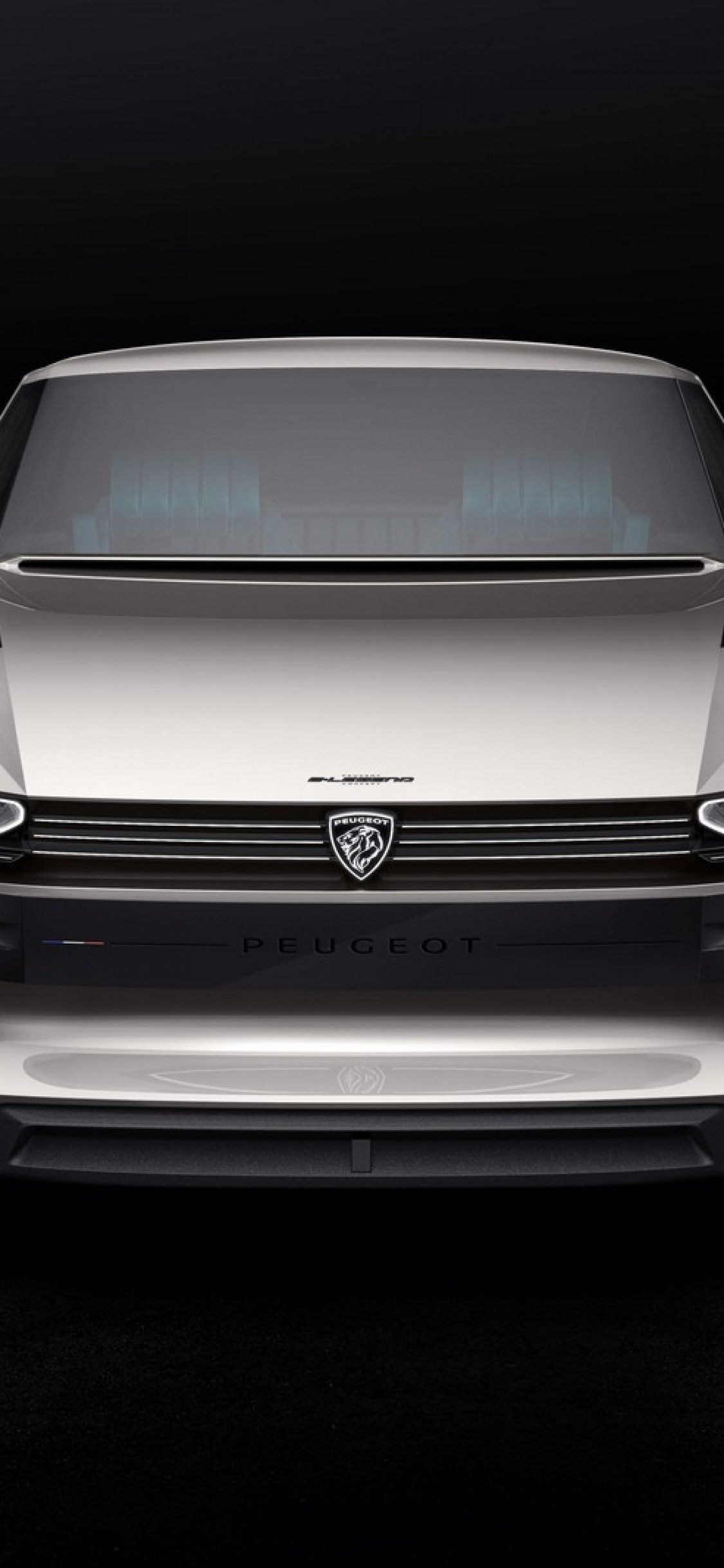 Peugeot concept futuristica argento, 1125x2436 Verticale, iPhone