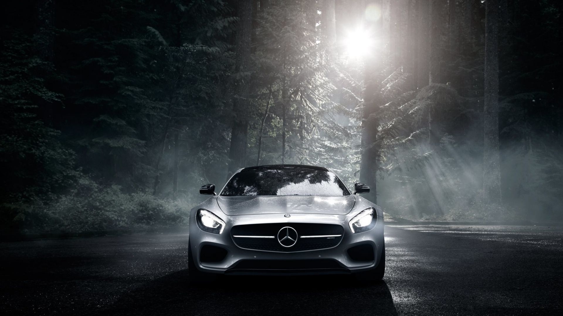Mercedes-Benz AMG GT nella foresta, Mercedes-AMG, 1920x1080 1080p, Desktop