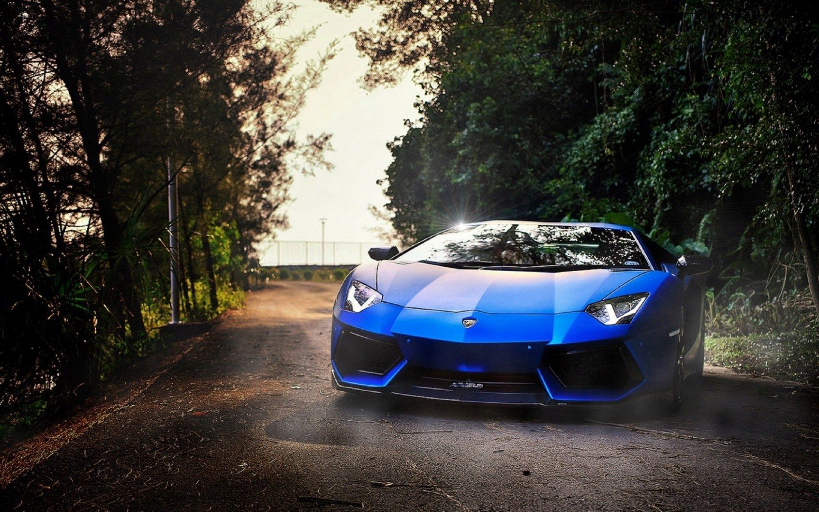 Lamborghini Aventador blu strada bosco, supercar italiana, 1680x1050 900p, Desktop