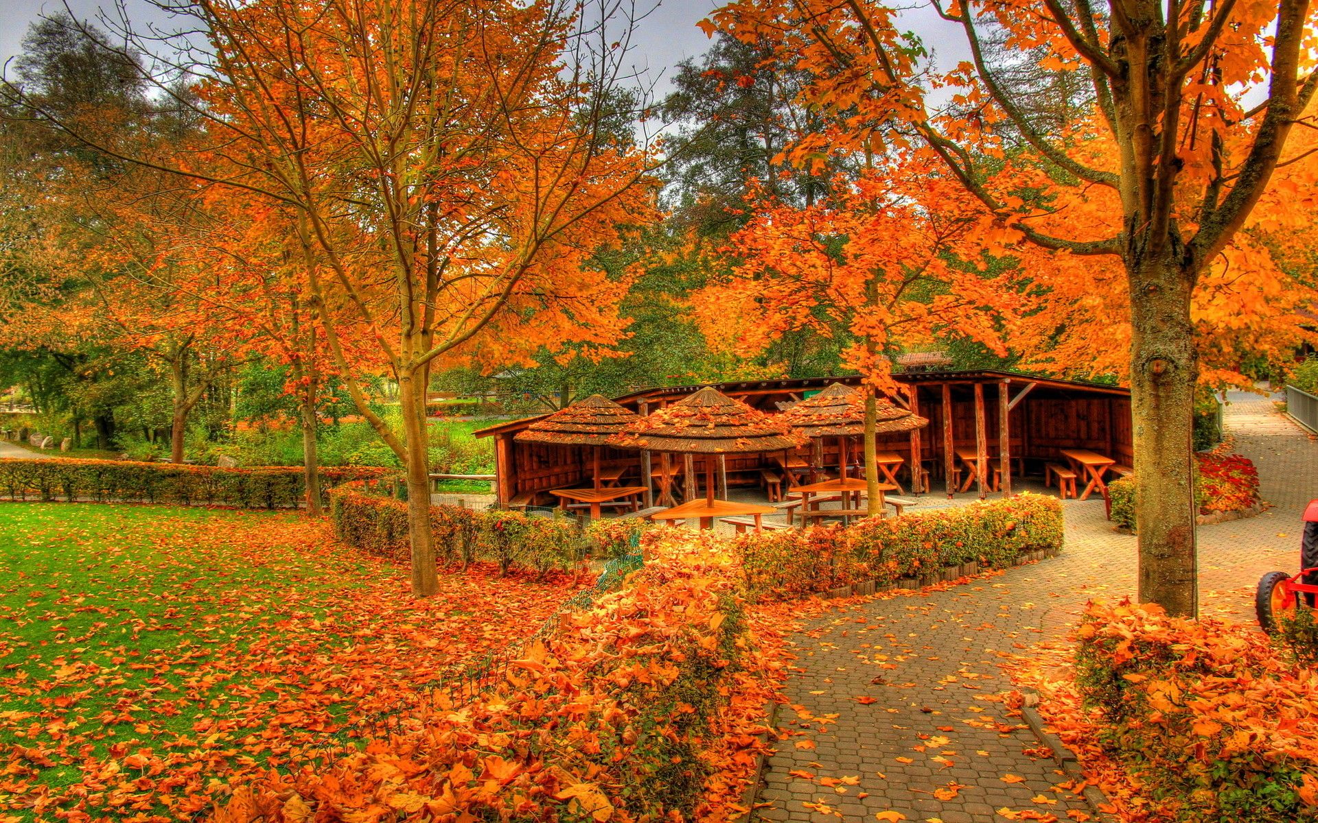 Casetta autunnale tra alberi arancioni, 1920x1200 Full HD+ WUXGA, PC