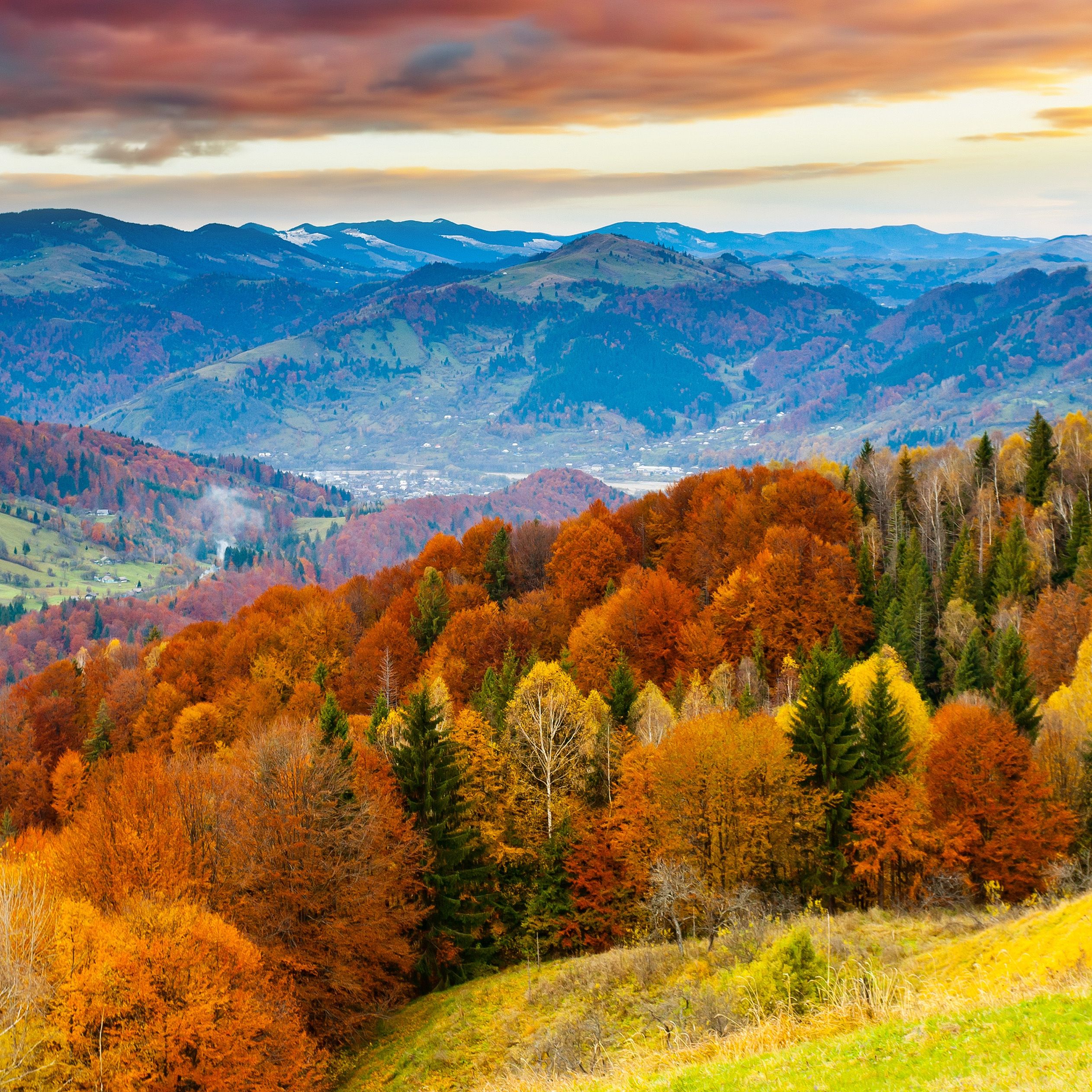 Montagne e foresta autunnale, 2524x2524 2K, Desktop