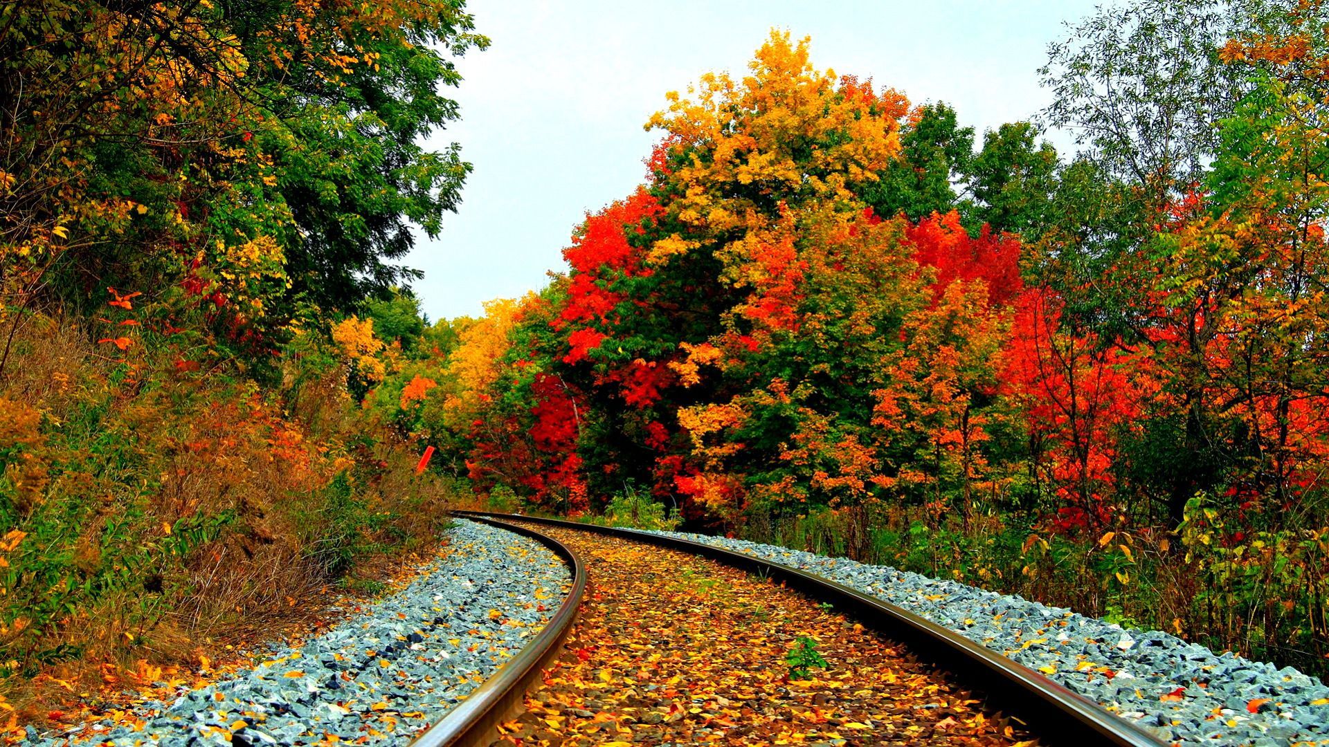 binario ferroviario autunnale colorato, 1920x1080 1080p, Desktop