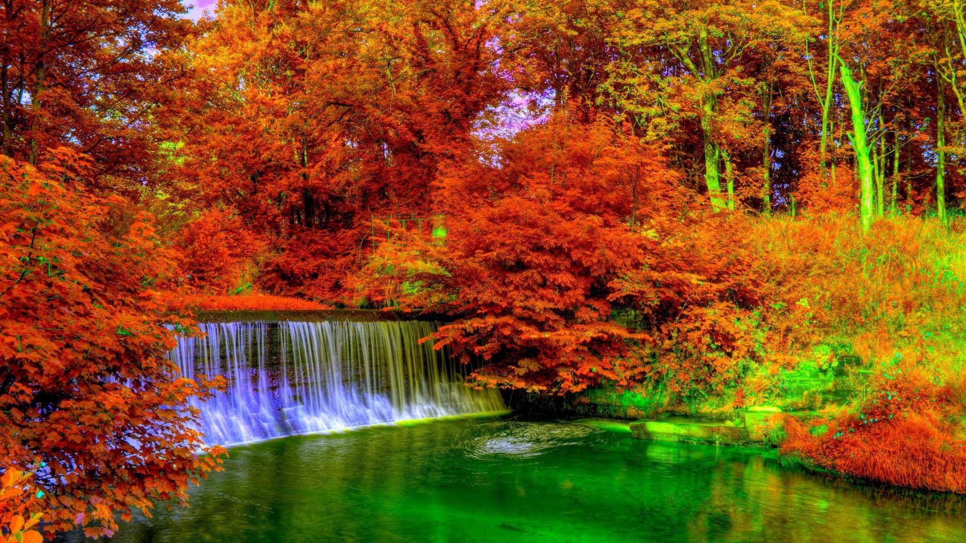 Cascata bosco autunnale colorato, 1920x1080 Full HD 1080p, Laptop