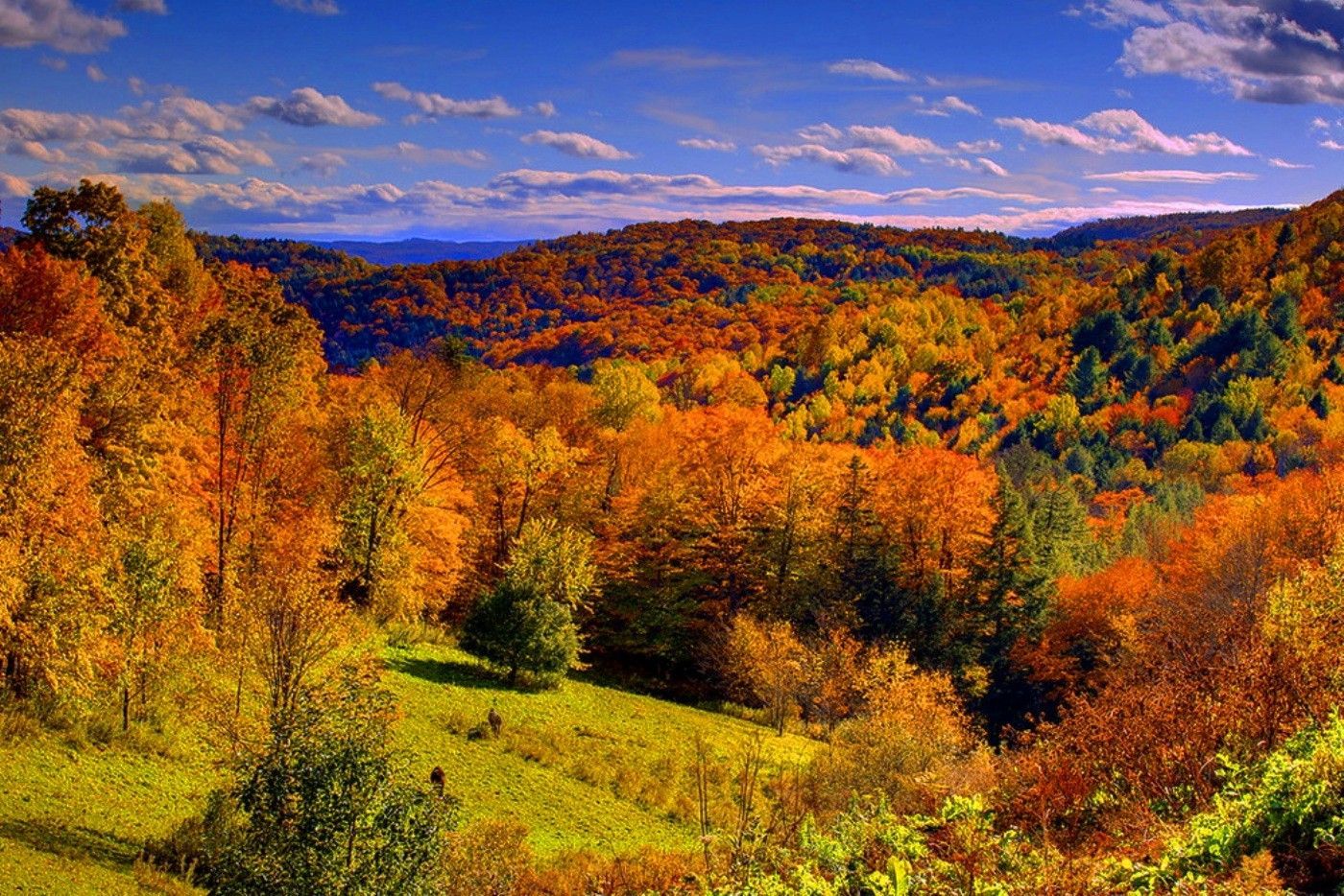 Colline autunnali nel Vermont, 1400x934 720p, Laptop