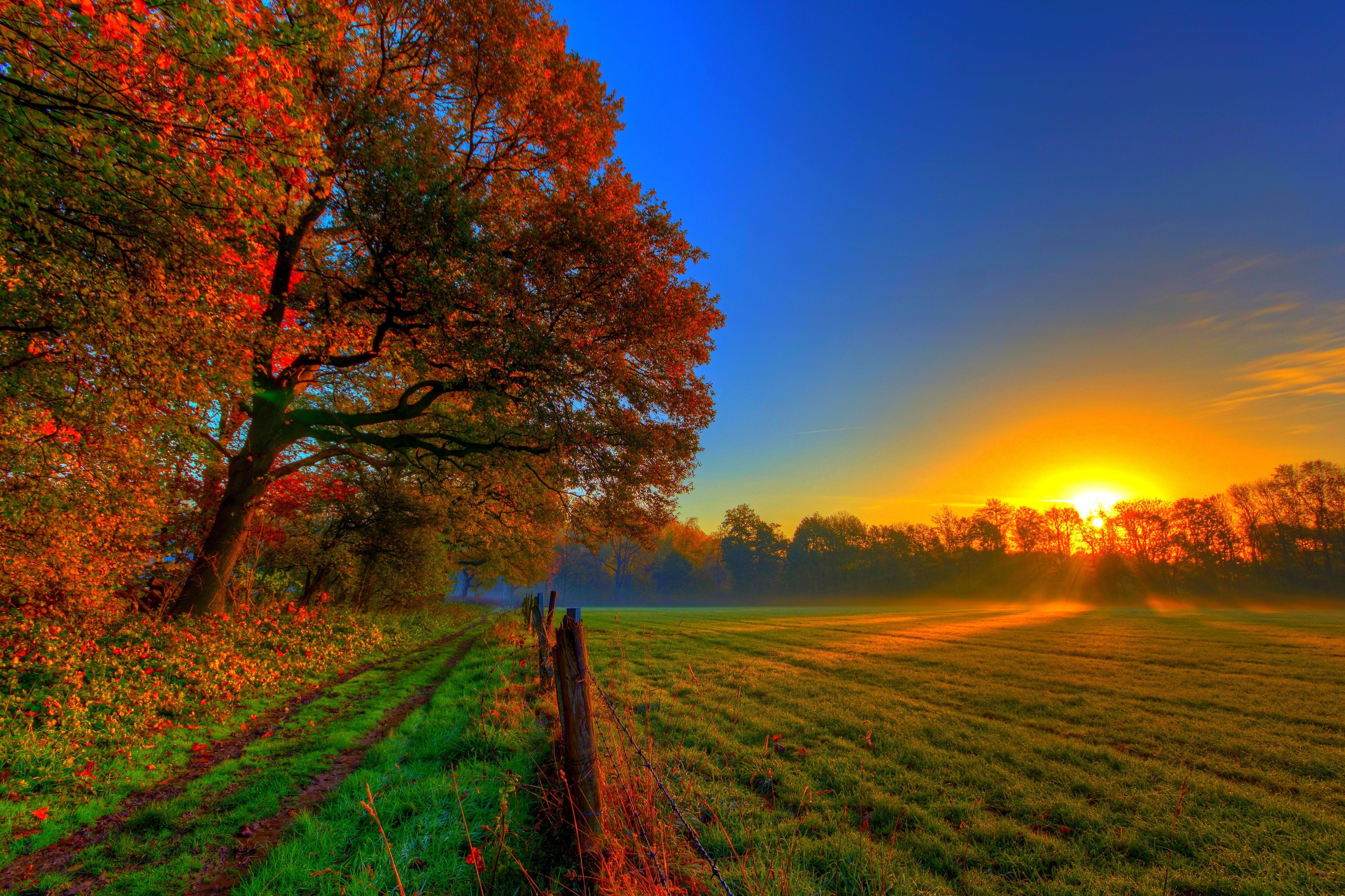 Sentiero autunnale al tramonto, 4869x3245 4K Ultra HD, Monitor 4K