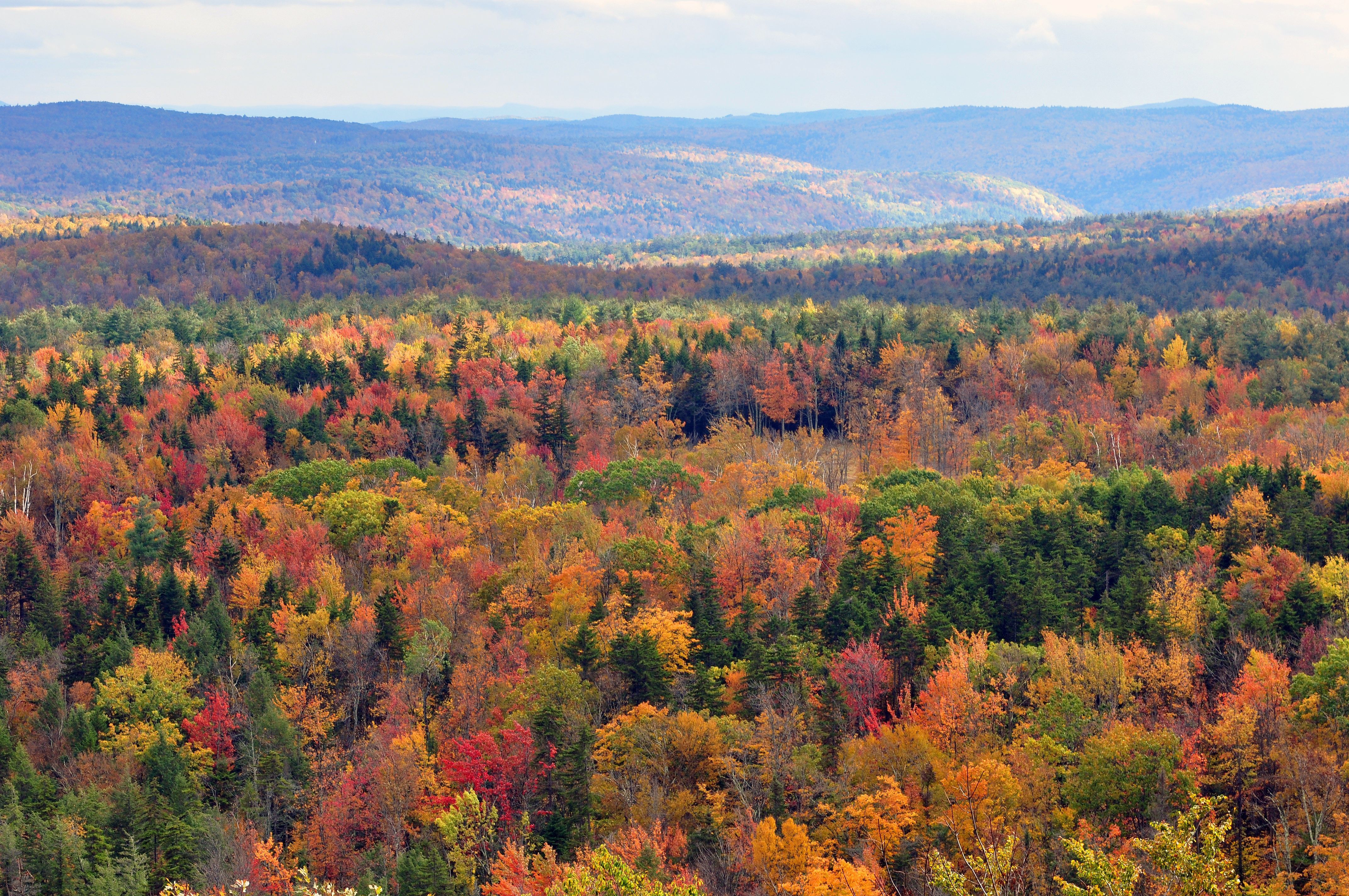Foresta autunnale Vermont, 4288x2848 UHD, PC 4K