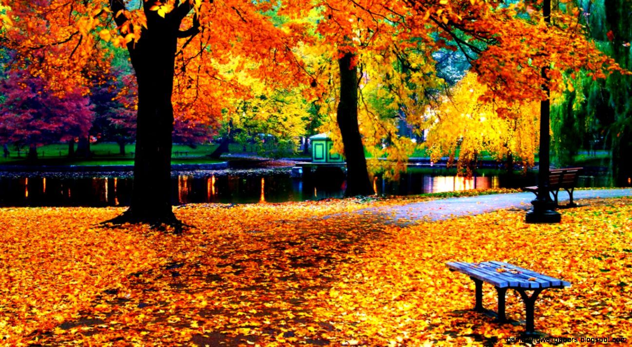 Parco autunnale con panchina, 1297x714 HD, Desktop