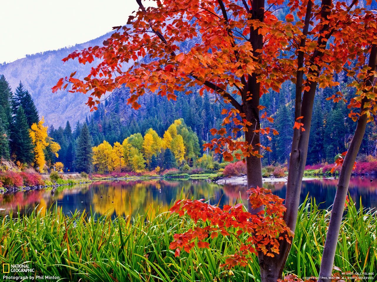Lago autunnale con alberi colorati, 1280x960 720p, PC