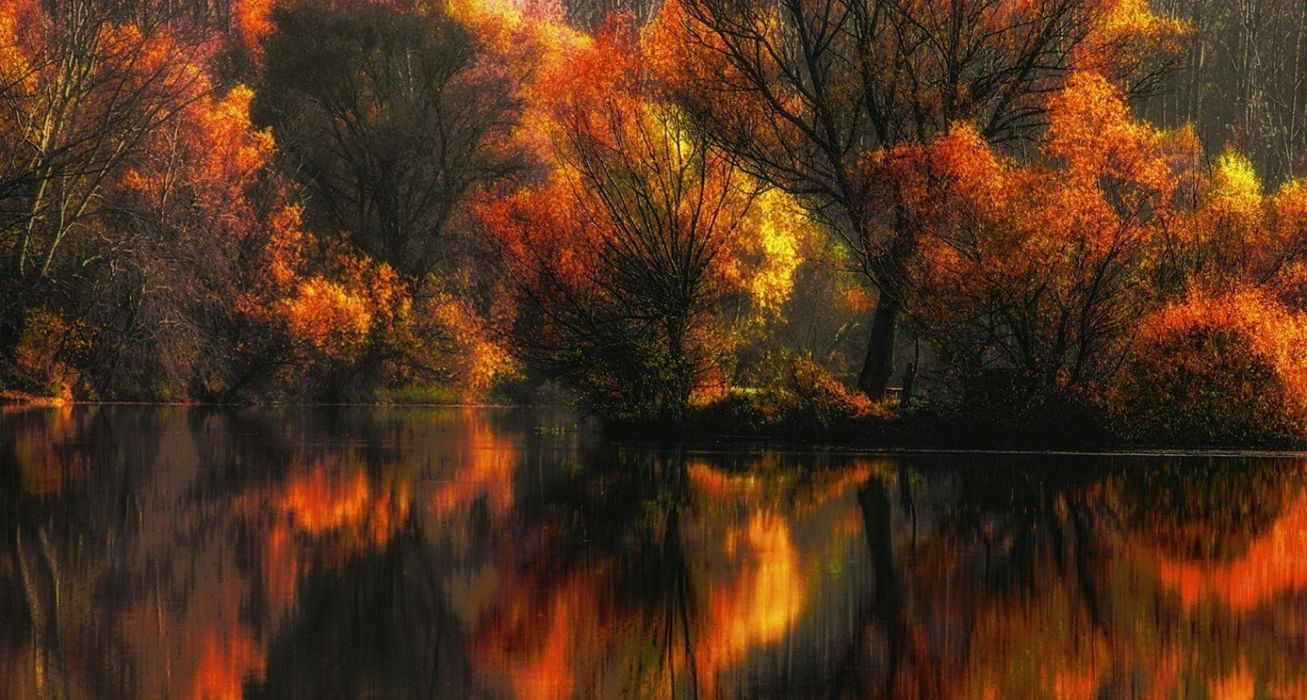 Foresta autunnale riflessa lago, 1307x700 720p, iMac