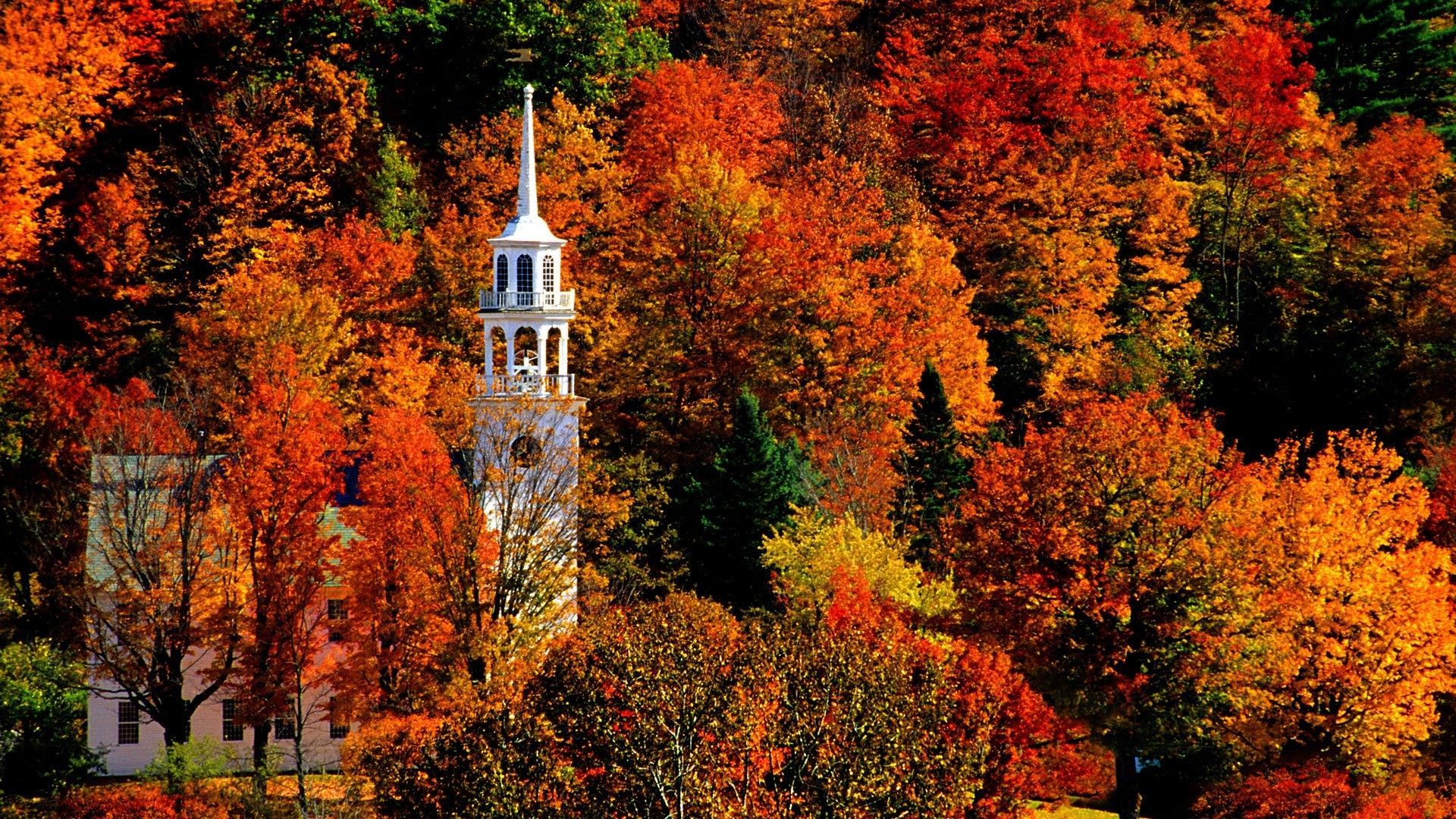 Campanile bianco tra alberi autunnali, 1920x1080 Full HD, PC