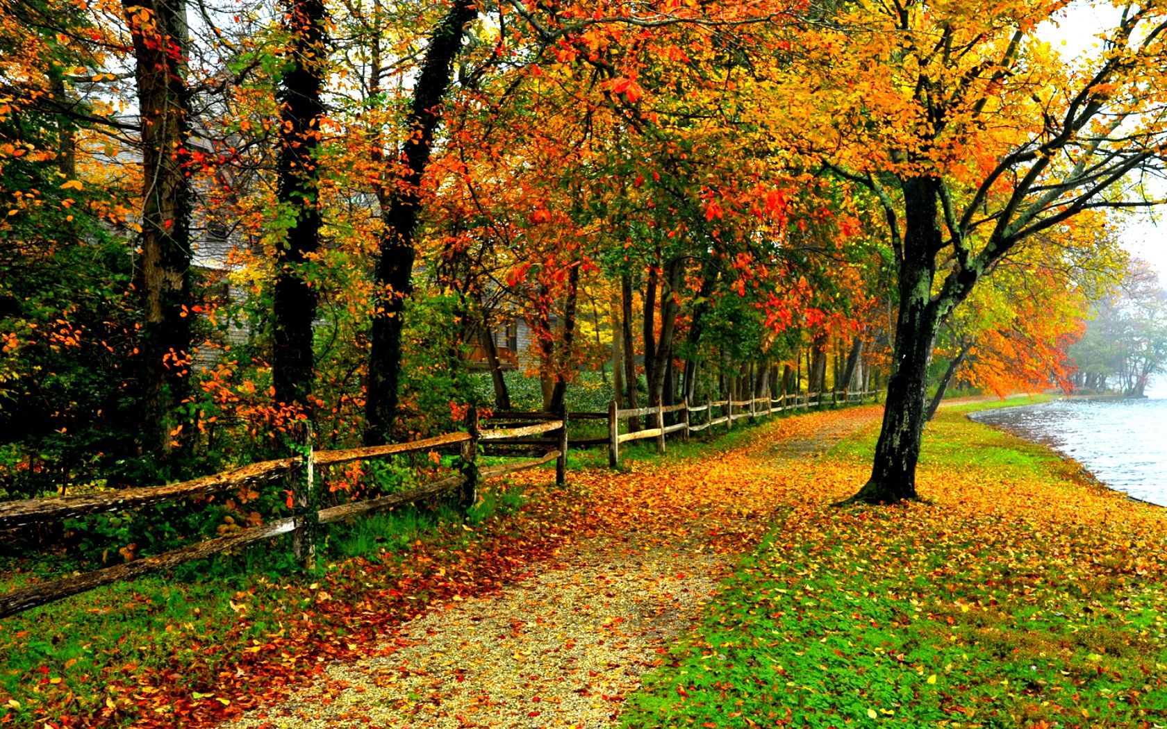 Sentiero autunnale con recinto, 1680x1050 HD, Desktop