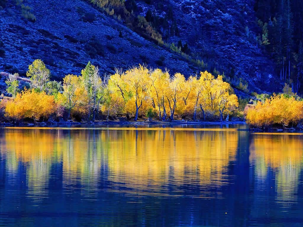 Alberi autunnali gialli riflessi lago, 1024x768 HD, Desktop