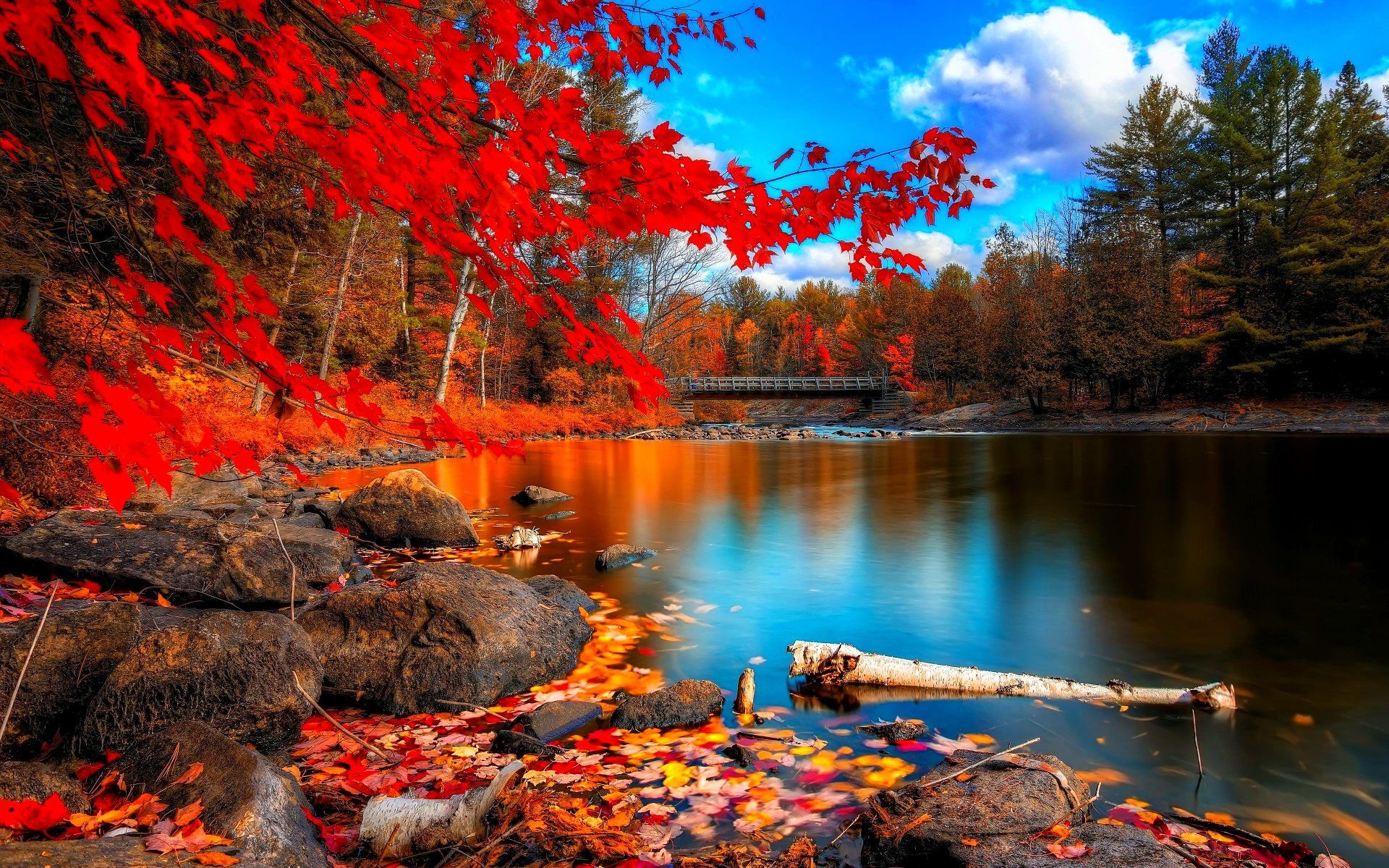 Lago autunnale con foglie rosse, 1920x1200 Full HD+ WUXGA, PC Desktop