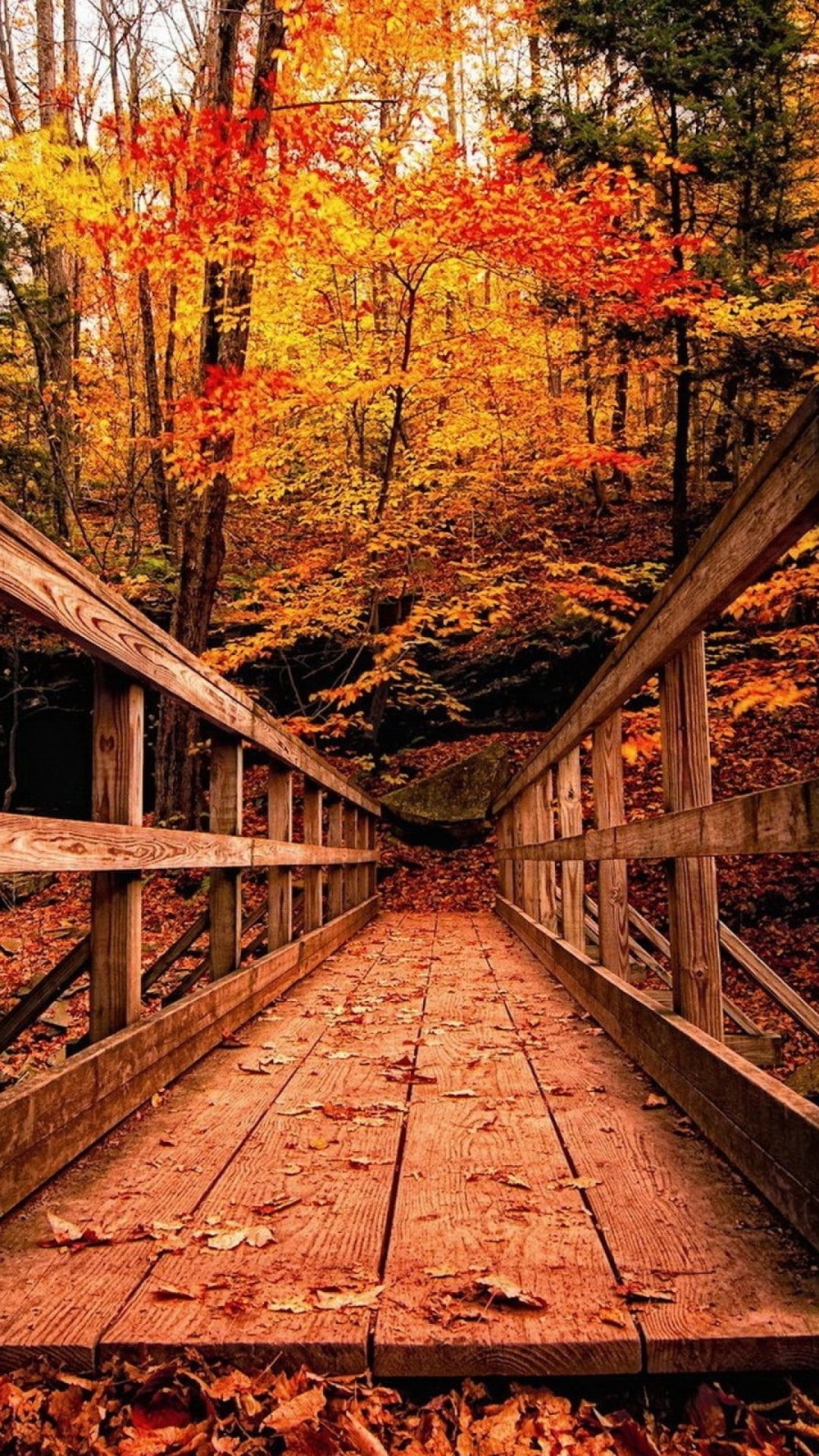 Ponte di legno nel bosco autunnale, 1080x1920 Full HD Verticale, Smartphone