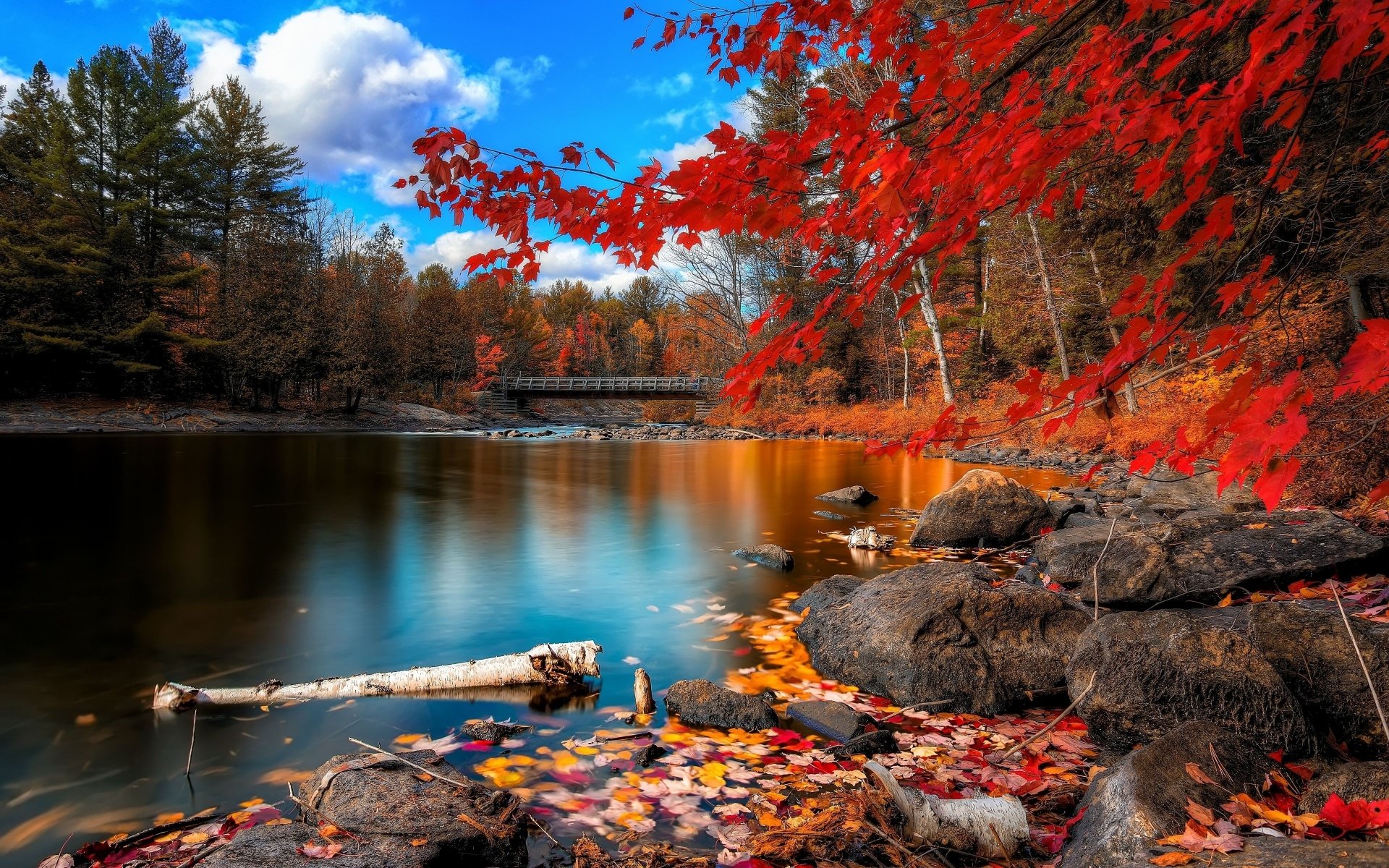 Lago autunnale con foglie rosse, 1920x1200 Full HD+ WUXGA, Laptop