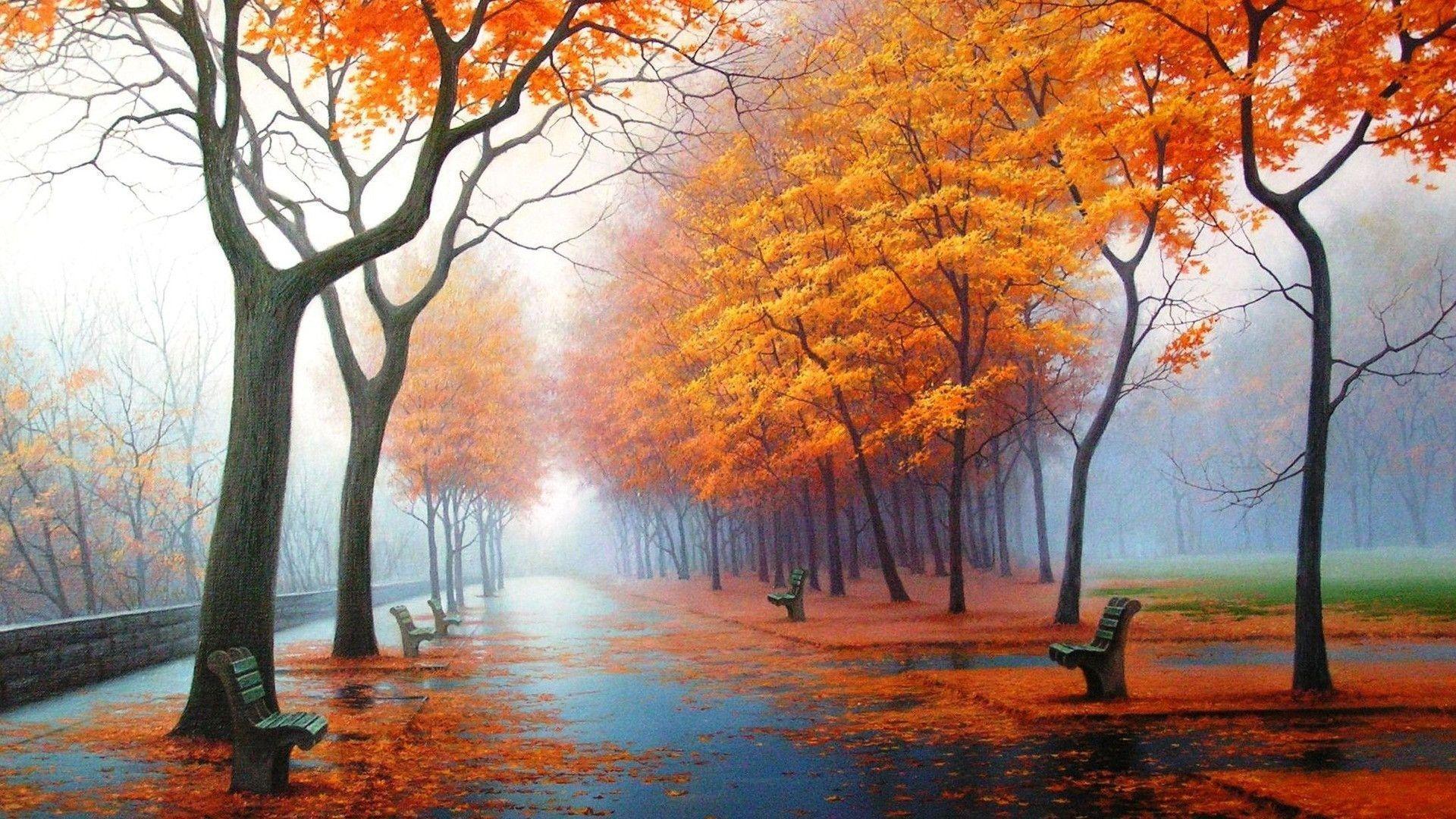 Viale alberato autunnale nebbioso, 1920x1080 1080p, Desktop