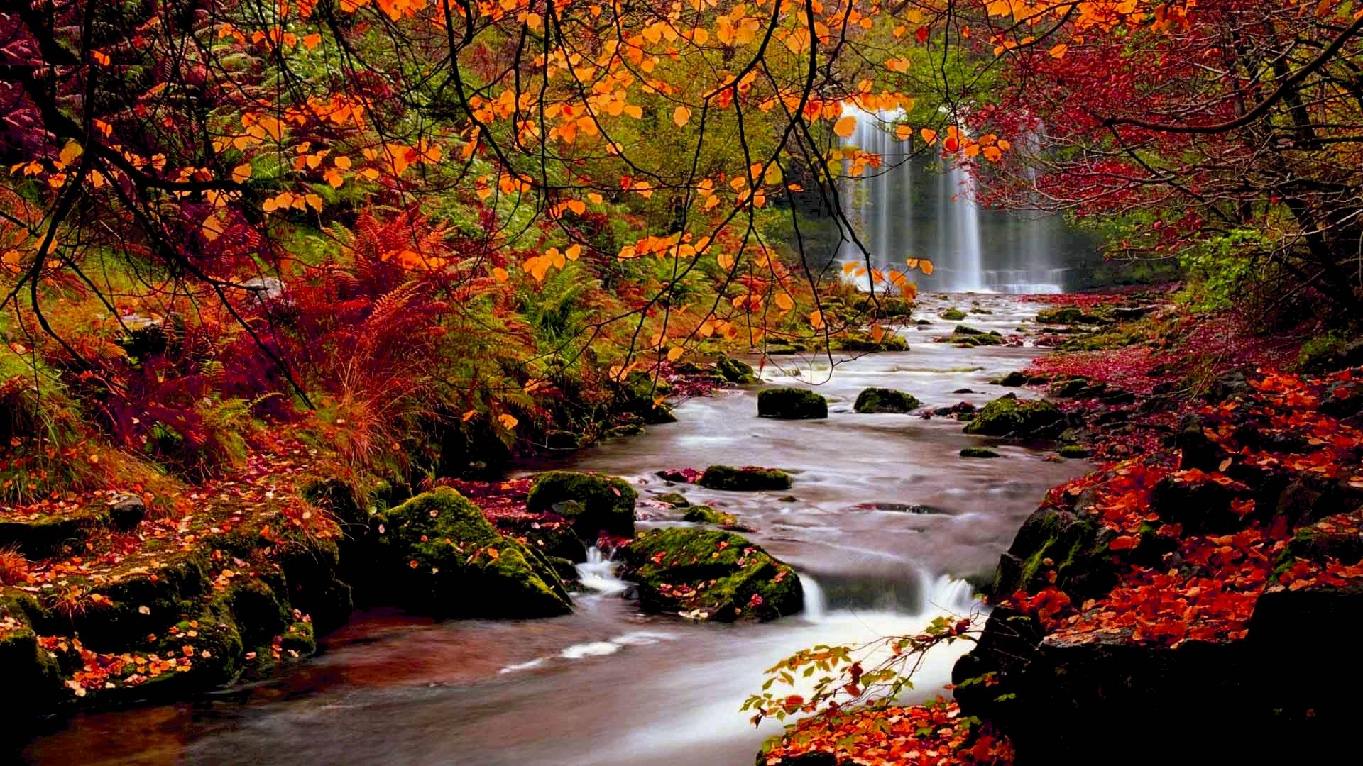 Cascata autunnale tra foglie rosse, 1920x1080 1080p, Desktop