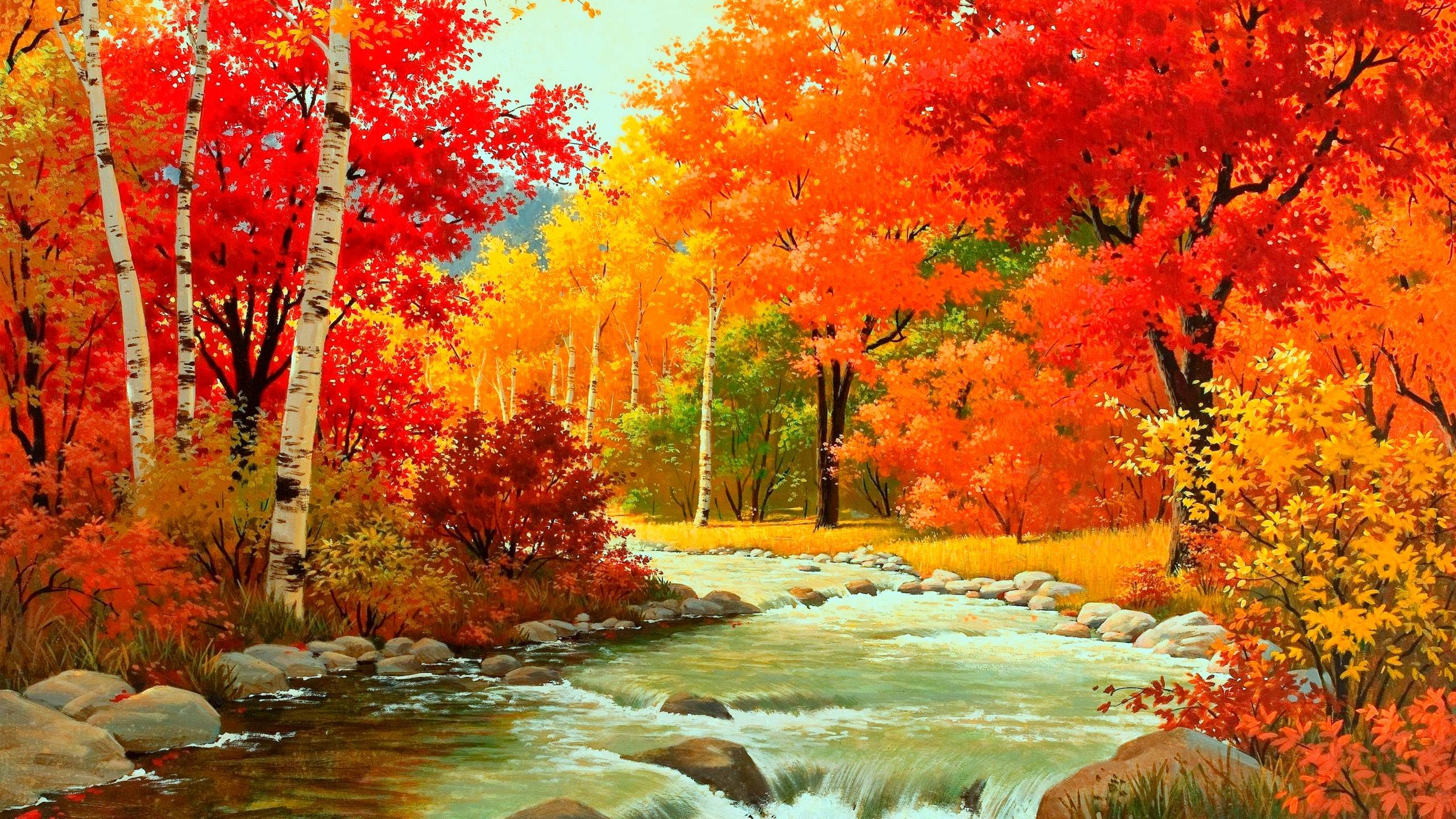 Sentiero autunnale nel bosco, 2560x1440 2K QHD, PC