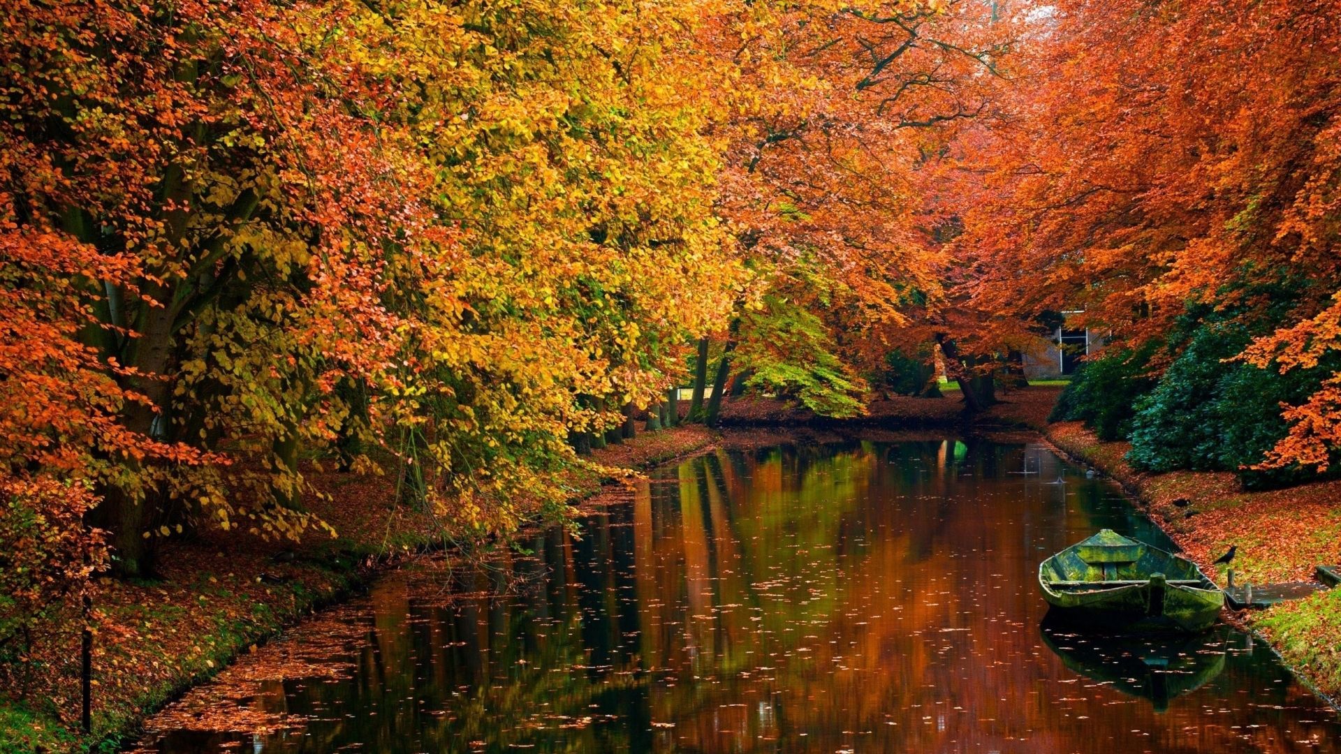 Lago autunnale con alberi arancioni, 1920x1080 Full HD, Laptop