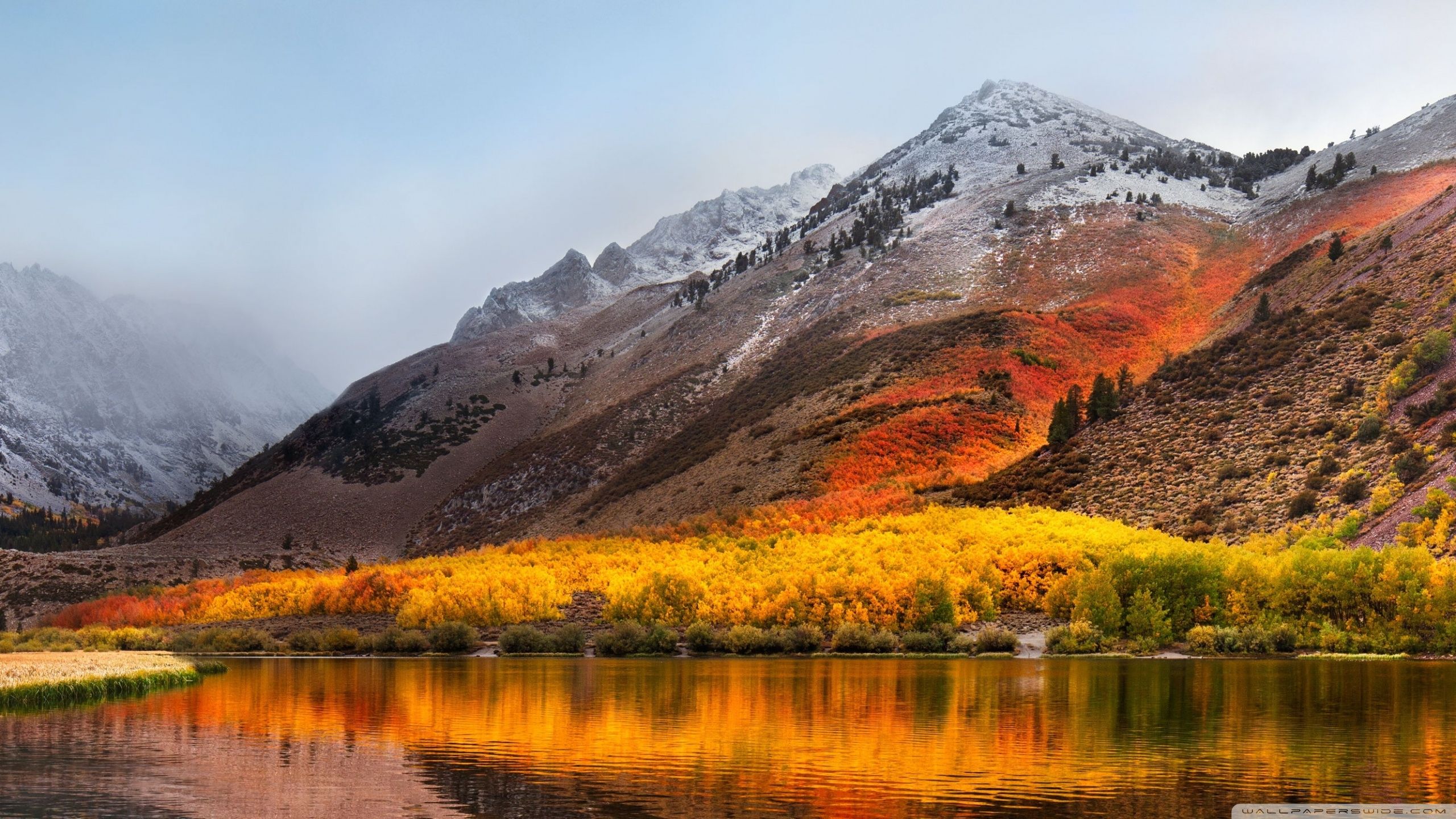 Montagna innevata con foresta autunnale, 2560x1440 2K QHD, PC